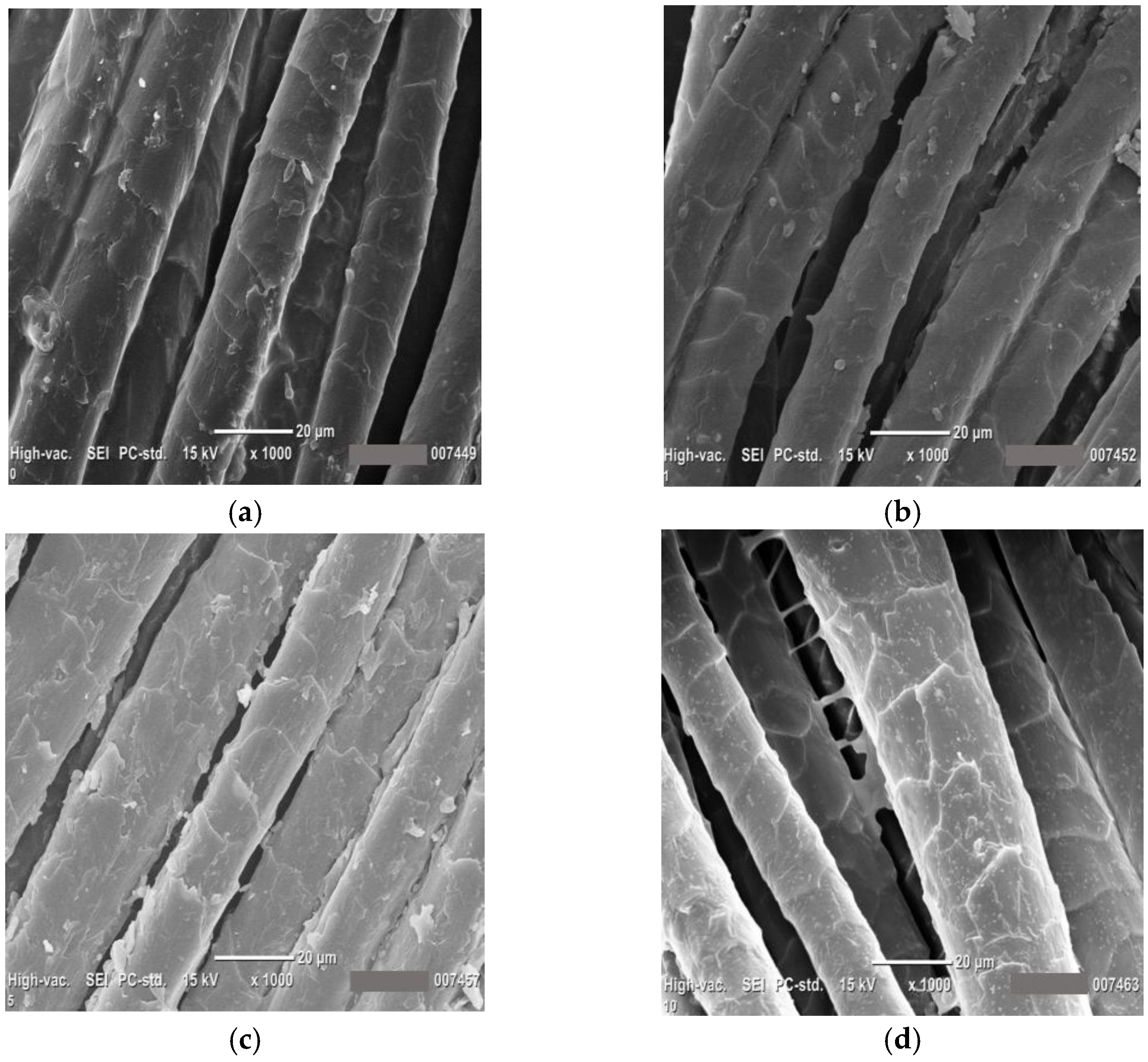 Coatings 13 00736 g016 Coatings 13 00736 g016