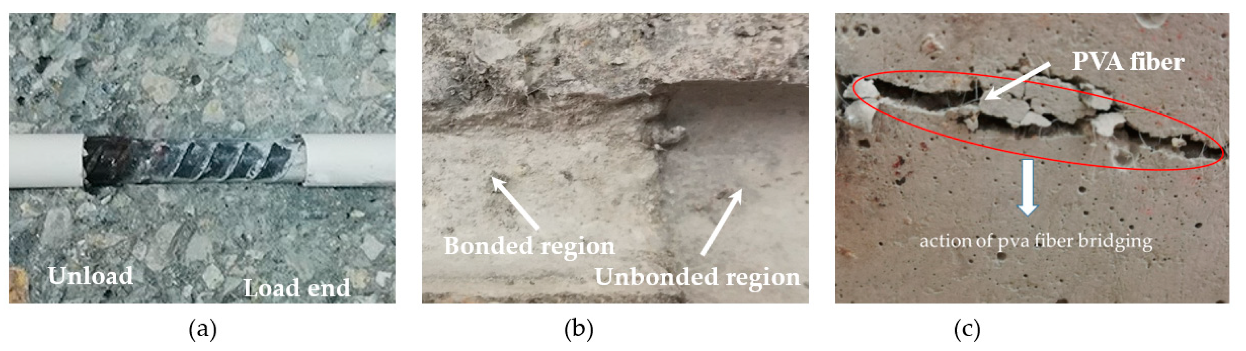 Coatings 13 00740 g008