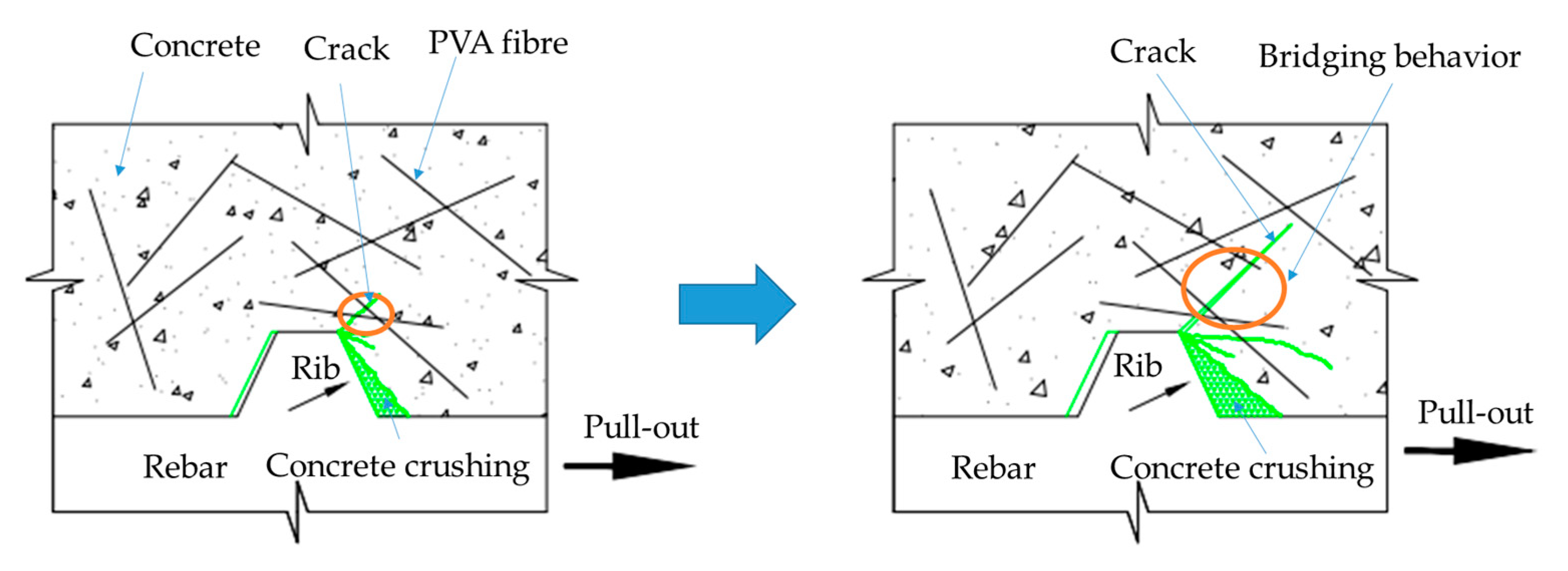 Coatings 13 00740 g014