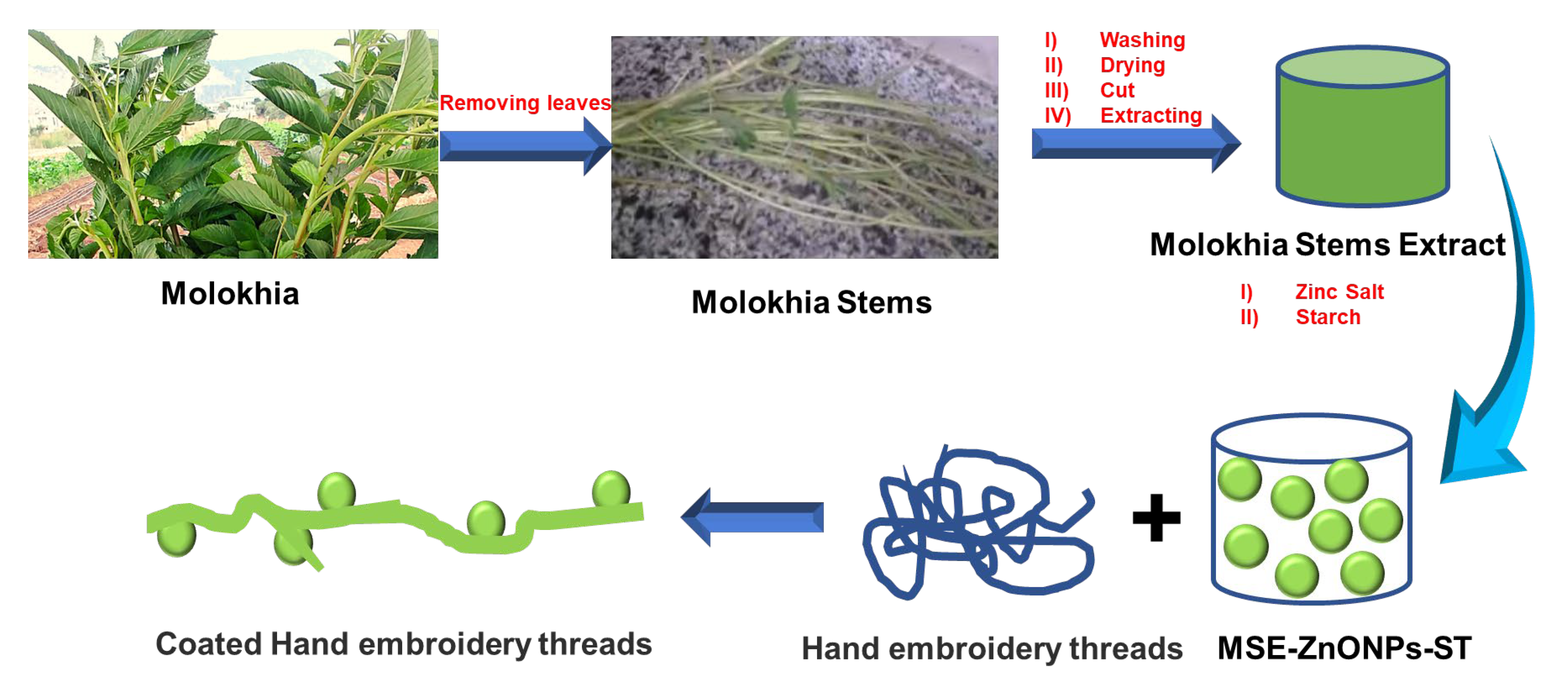 Coatings 13 00747 g001