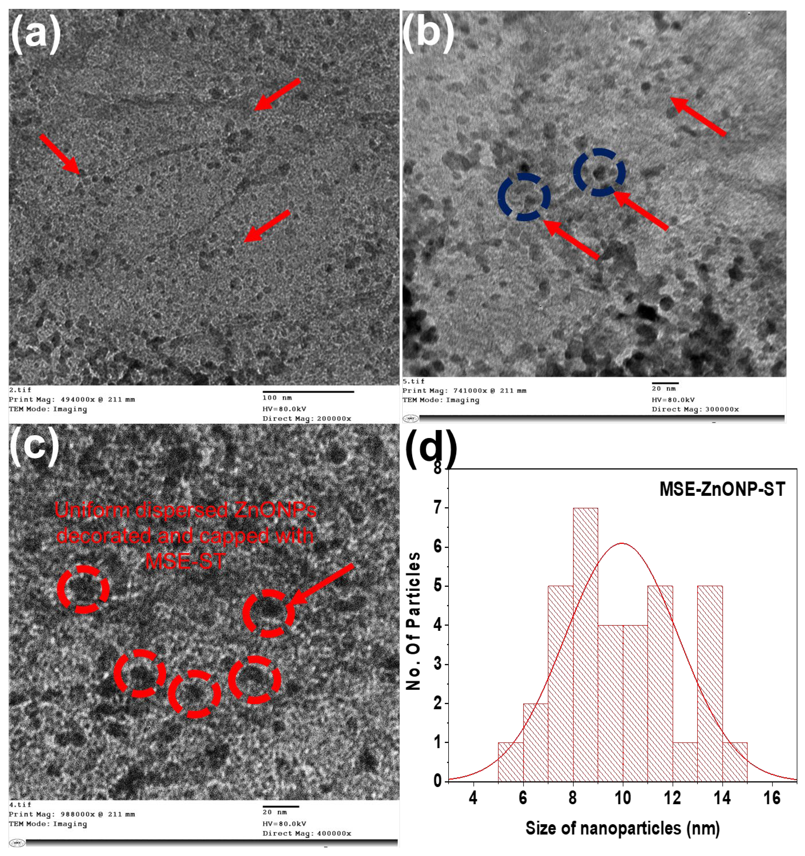 Coatings 13 00747 g002