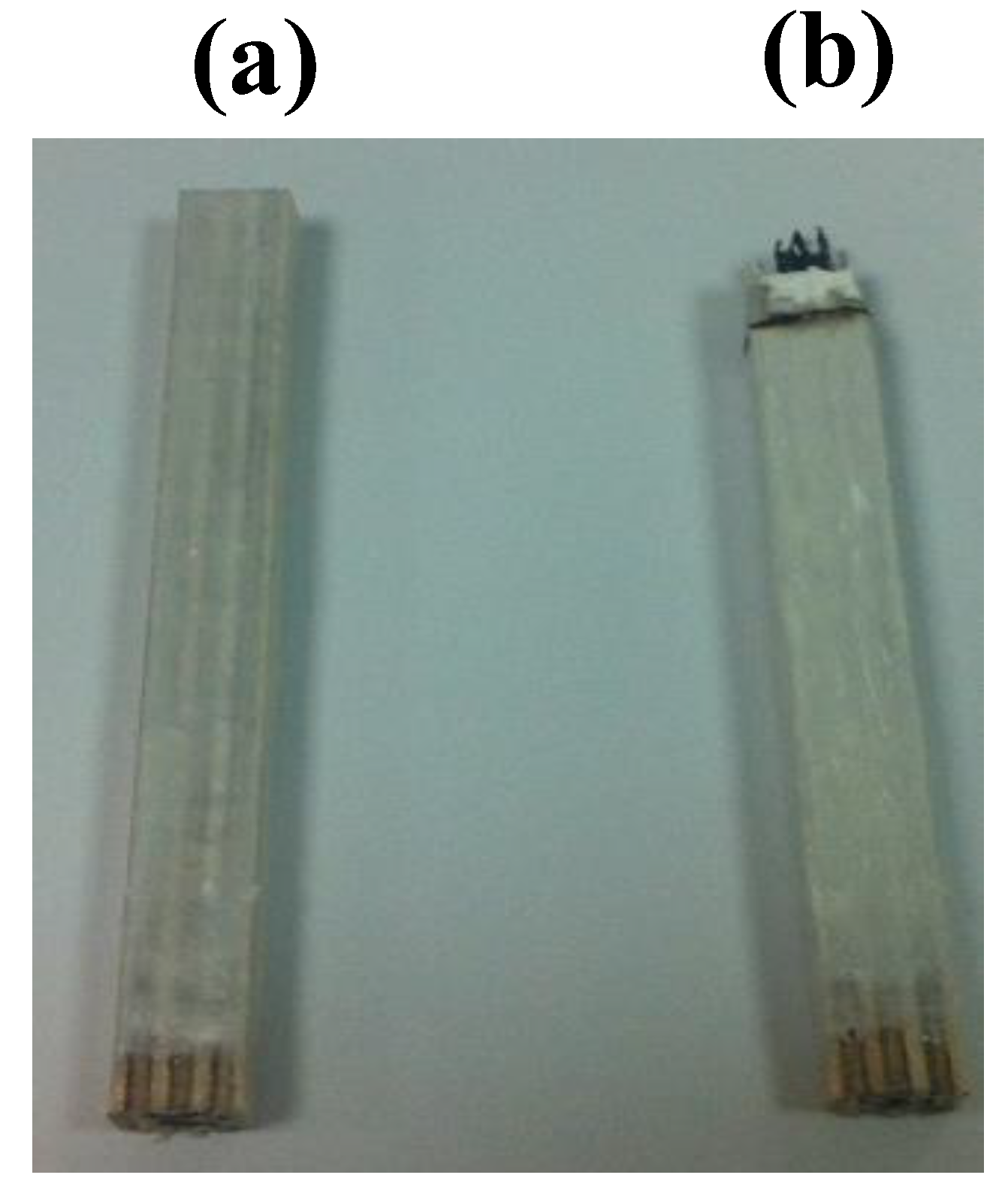 Coatings 13 00754 g003 Coatings 13 00754 g003