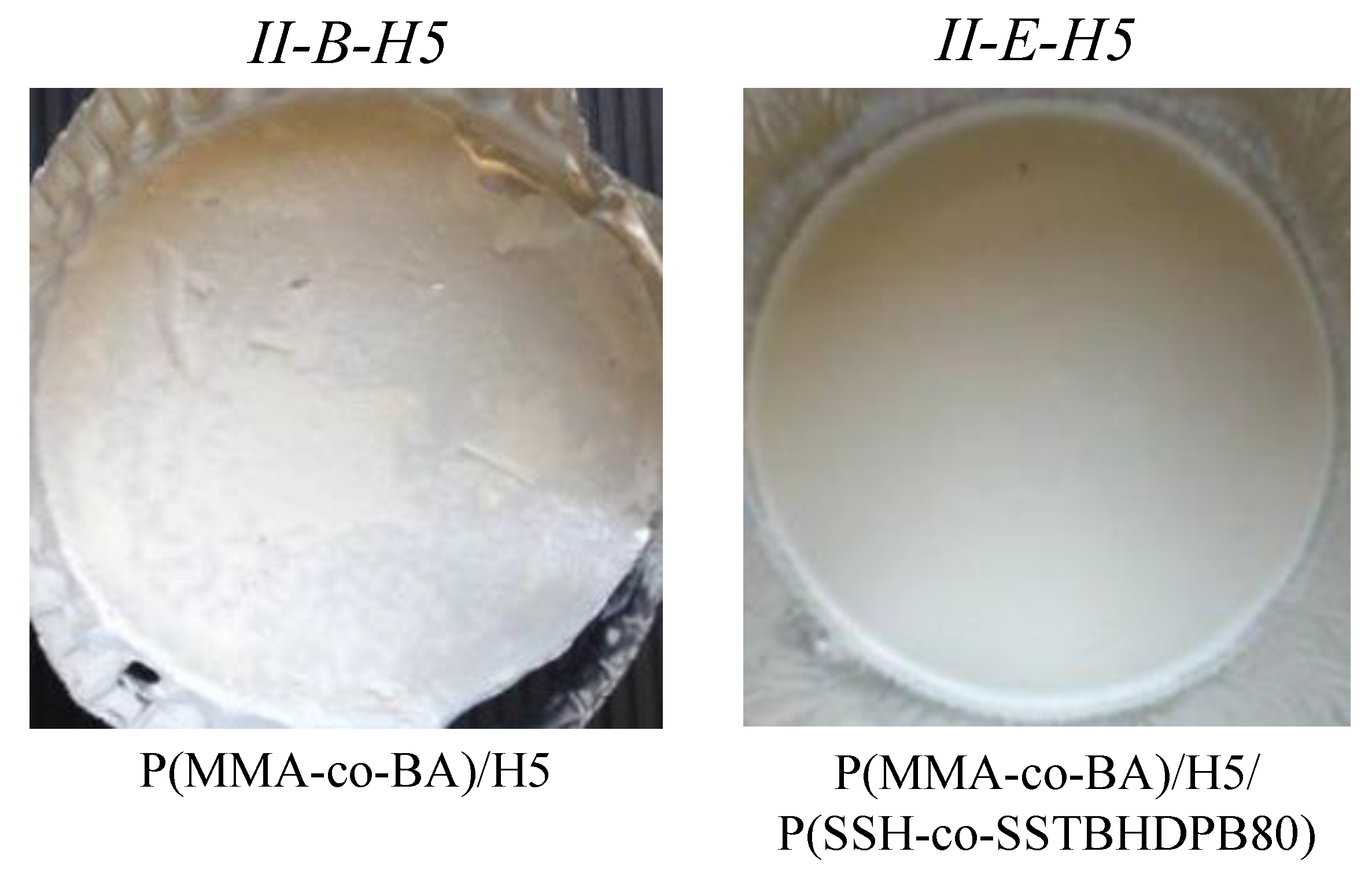 Coatings 13 00754 g004 Coatings 13 00754 g004