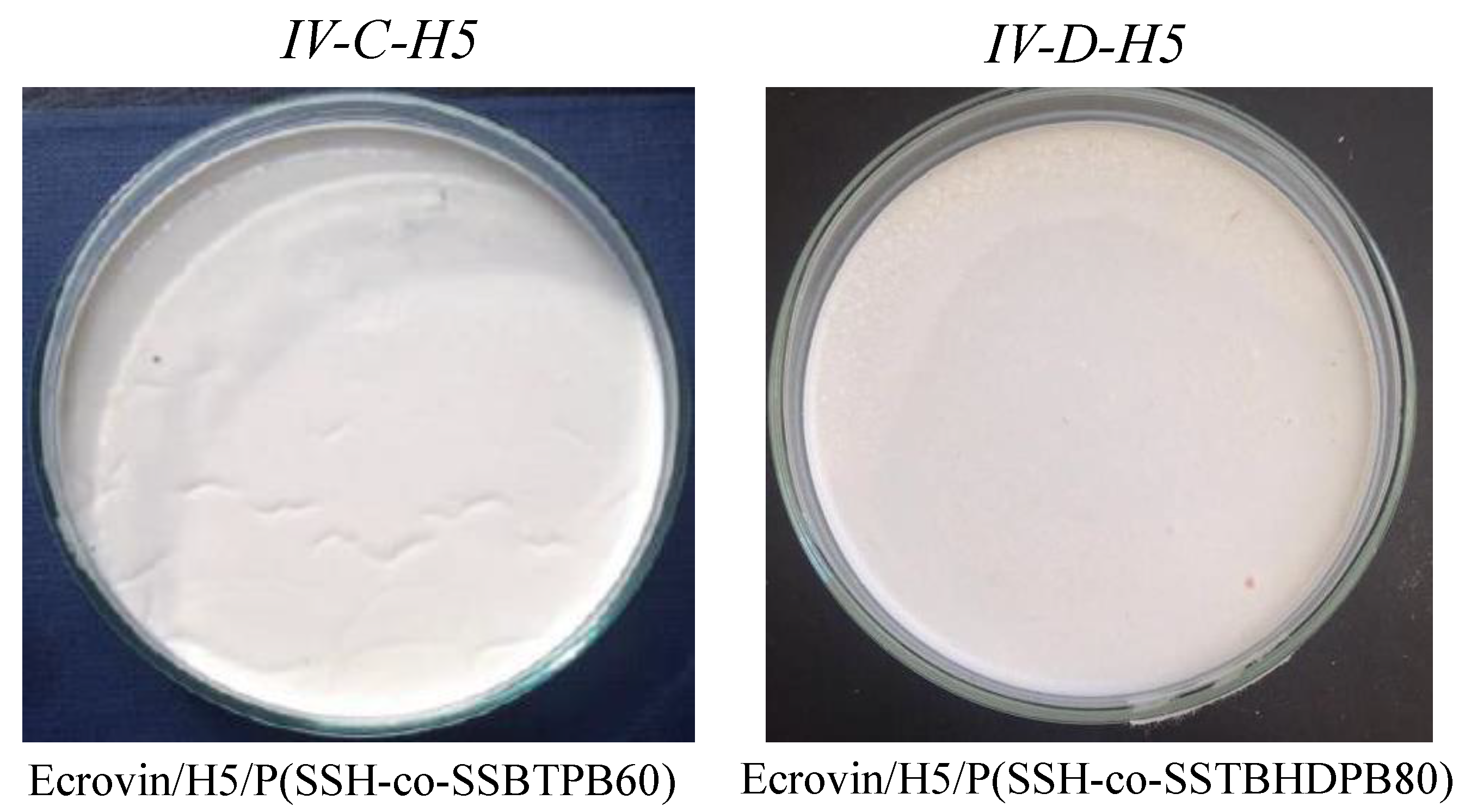 Coatings 13 00754 g006 Coatings 13 00754 g006