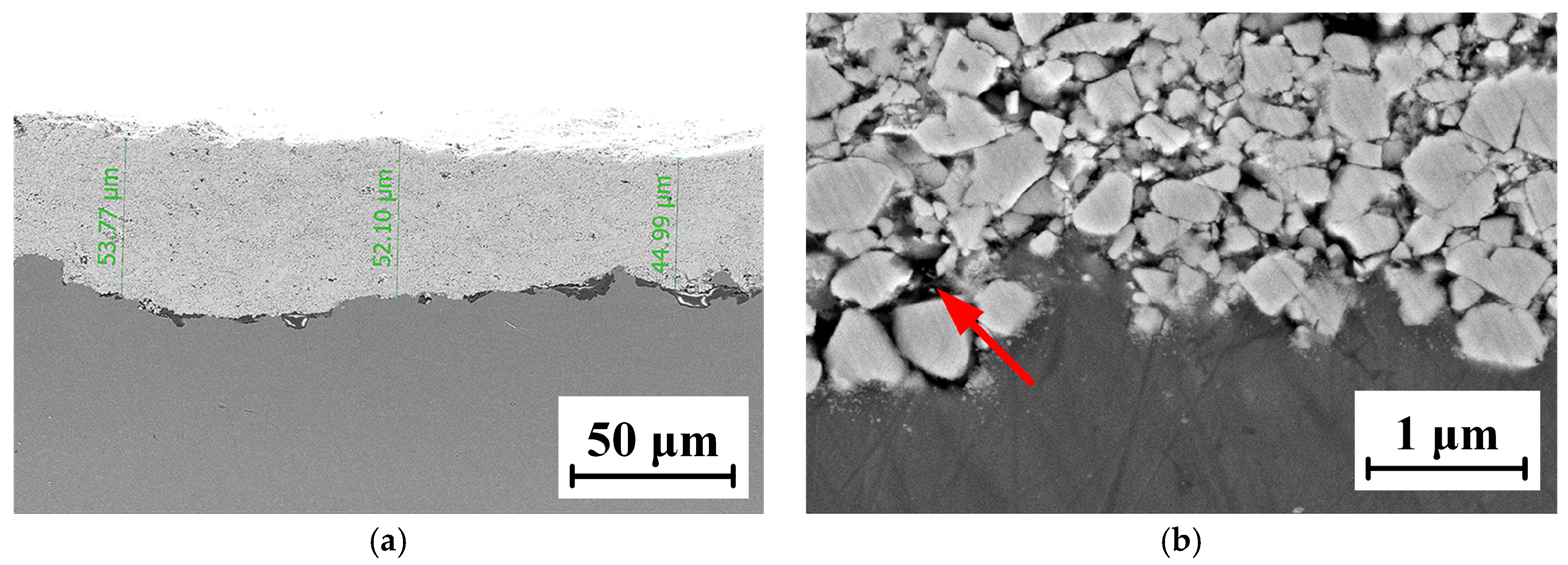Coatings 13 00755 g011
