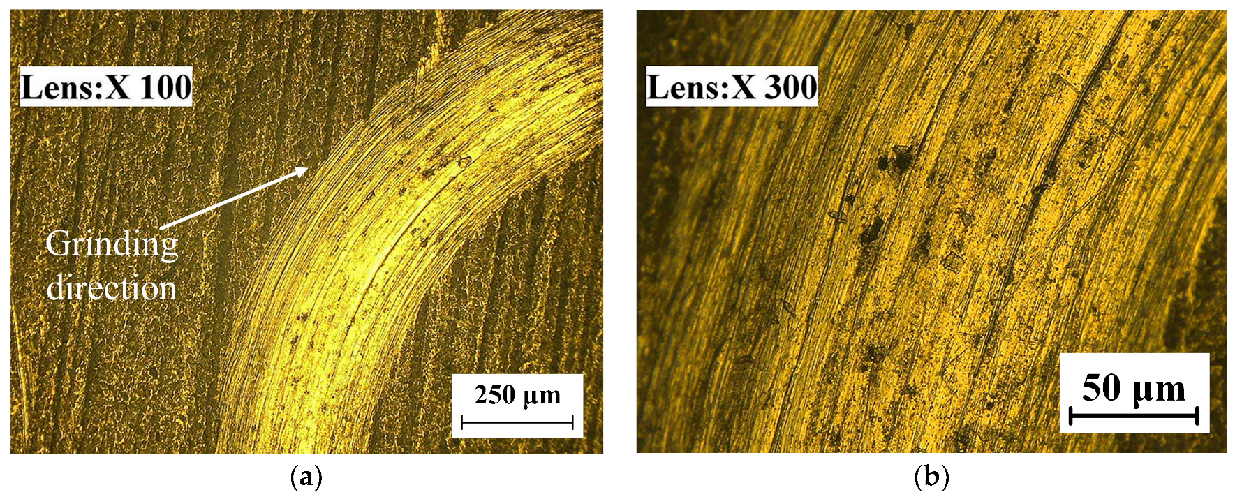 Coatings 13 00755 g017a