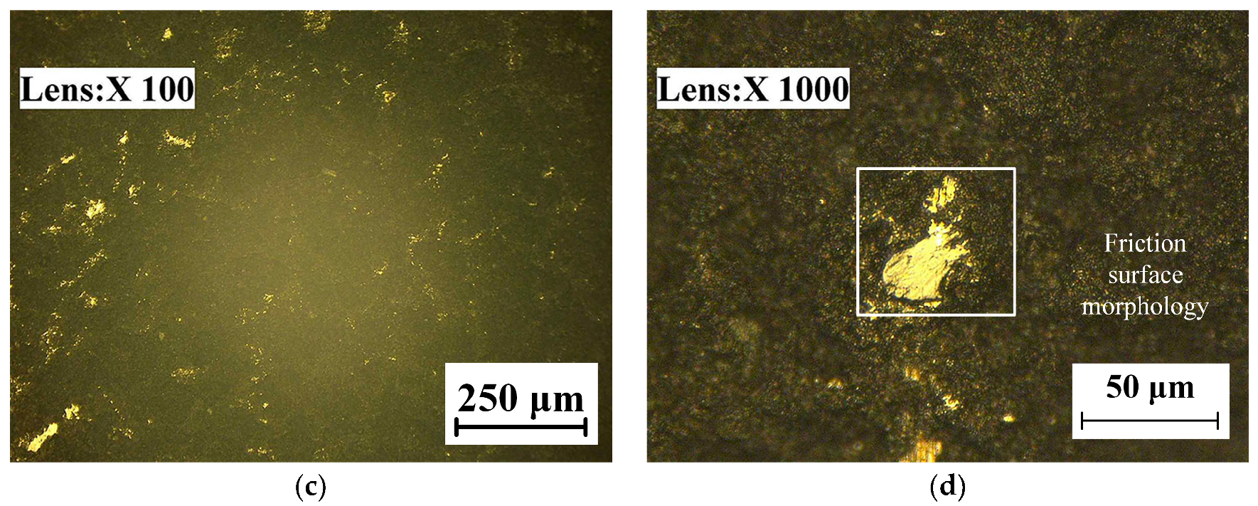 Coatings 13 00755 g017b