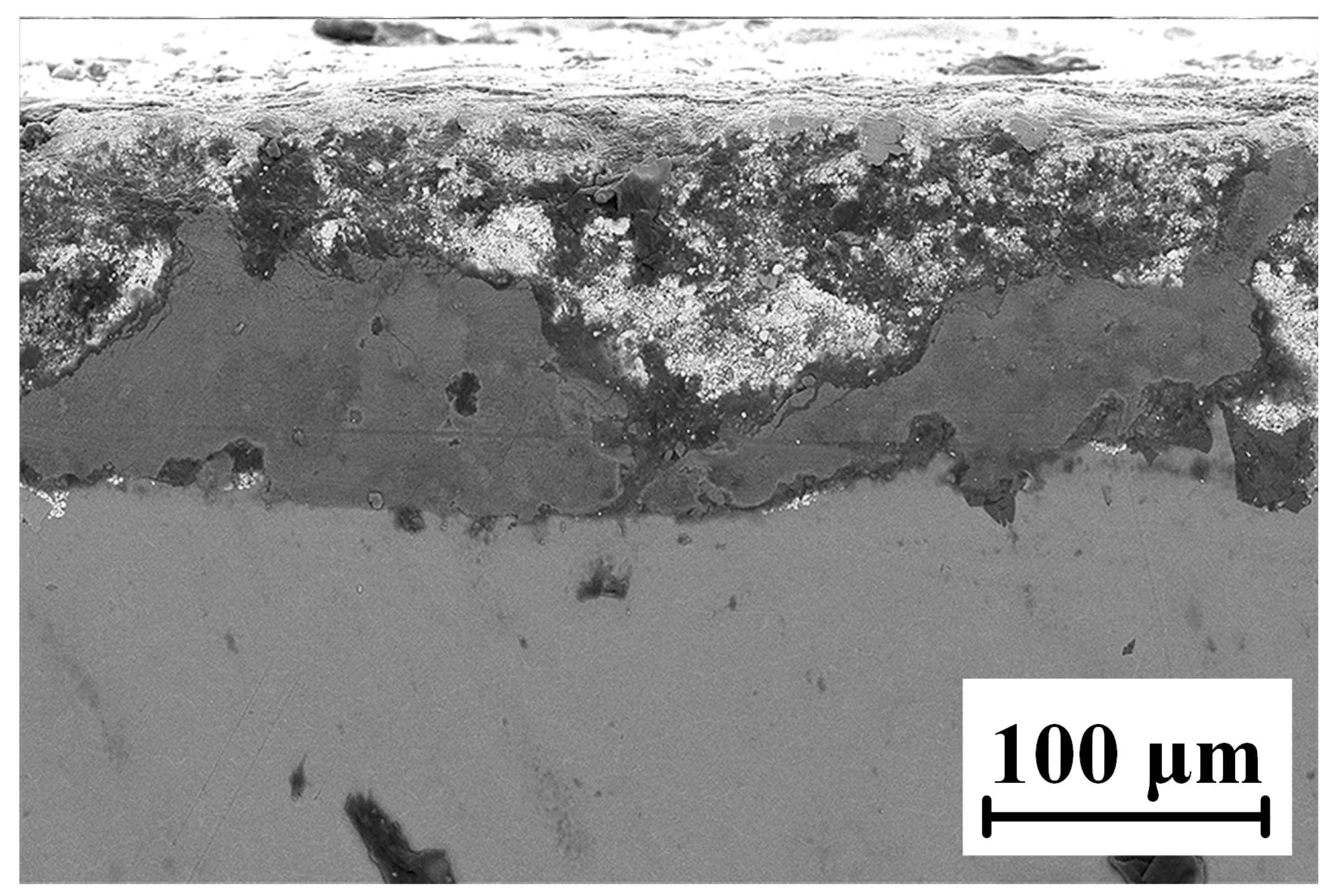 Coatings 13 00755 g023