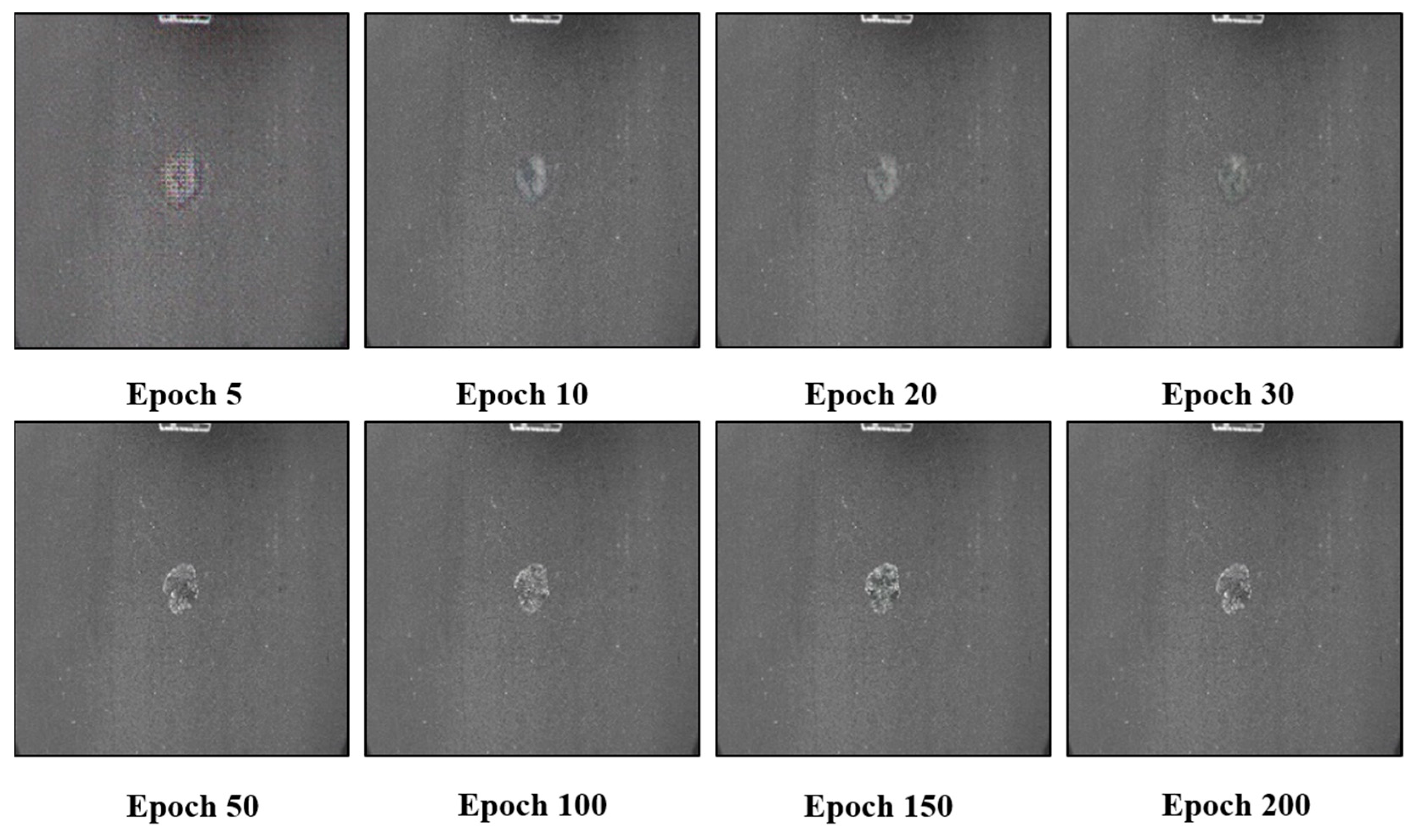 Coatings 13 00764 g012 550