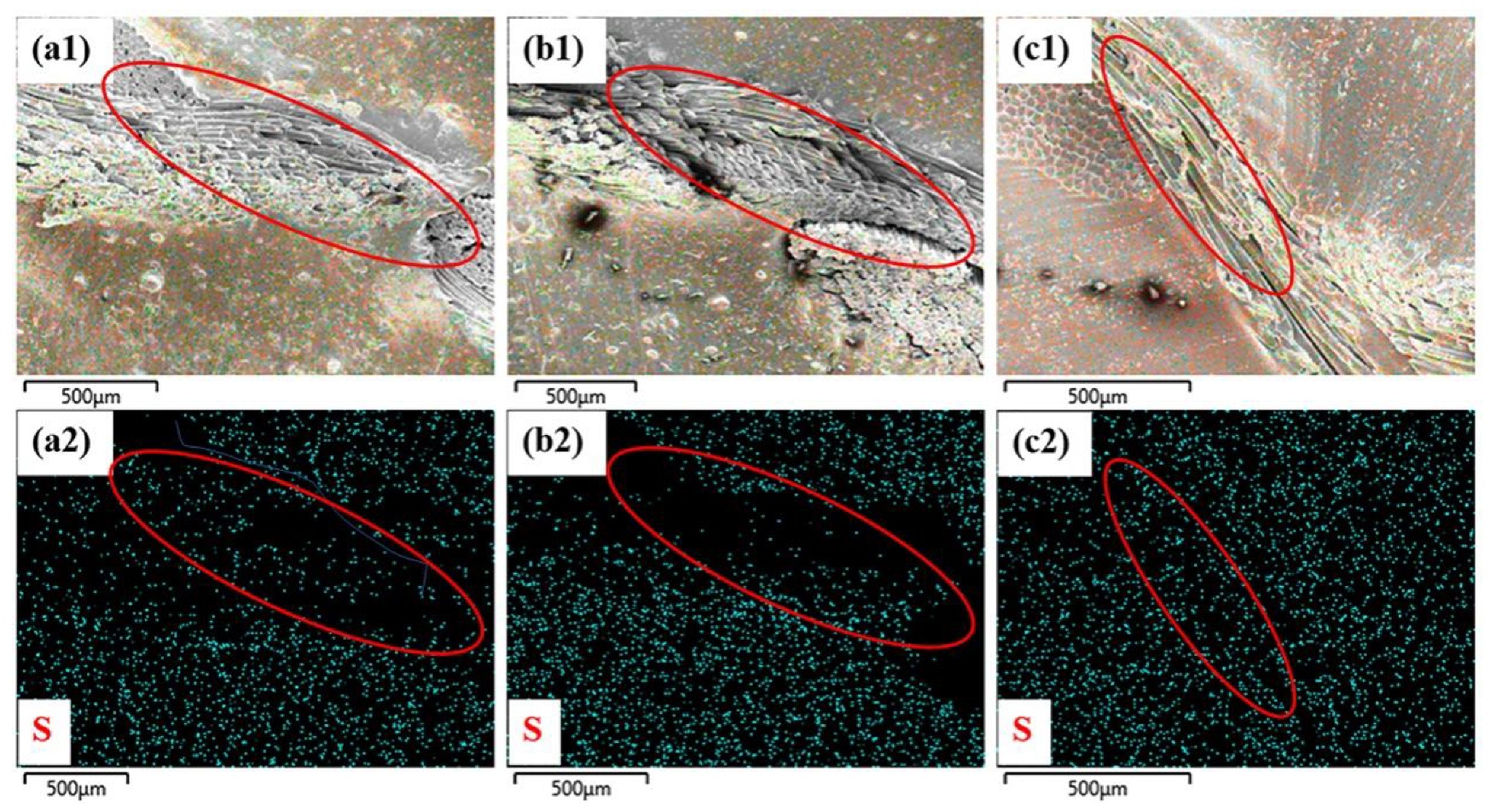 Coatings 13 00765 g008