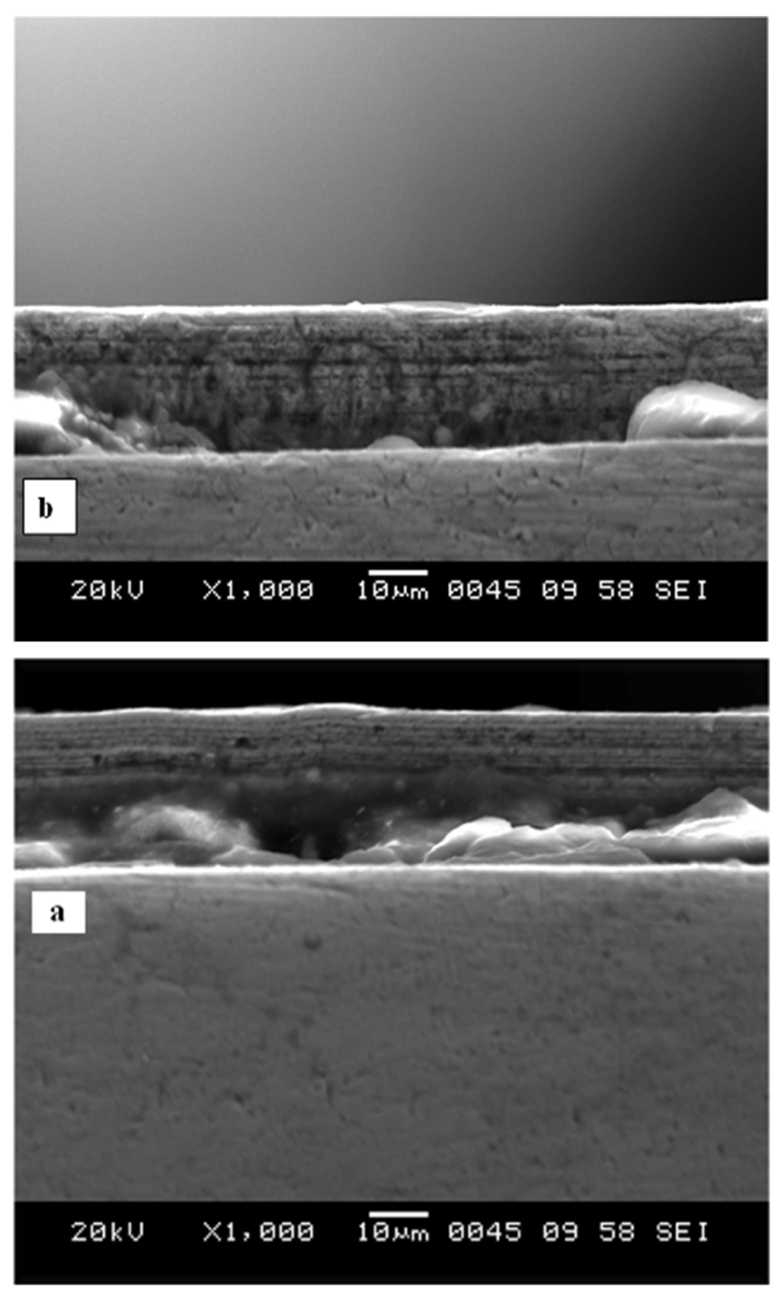 Coatings 13 00772 g008 Coatings 13 00772 g008