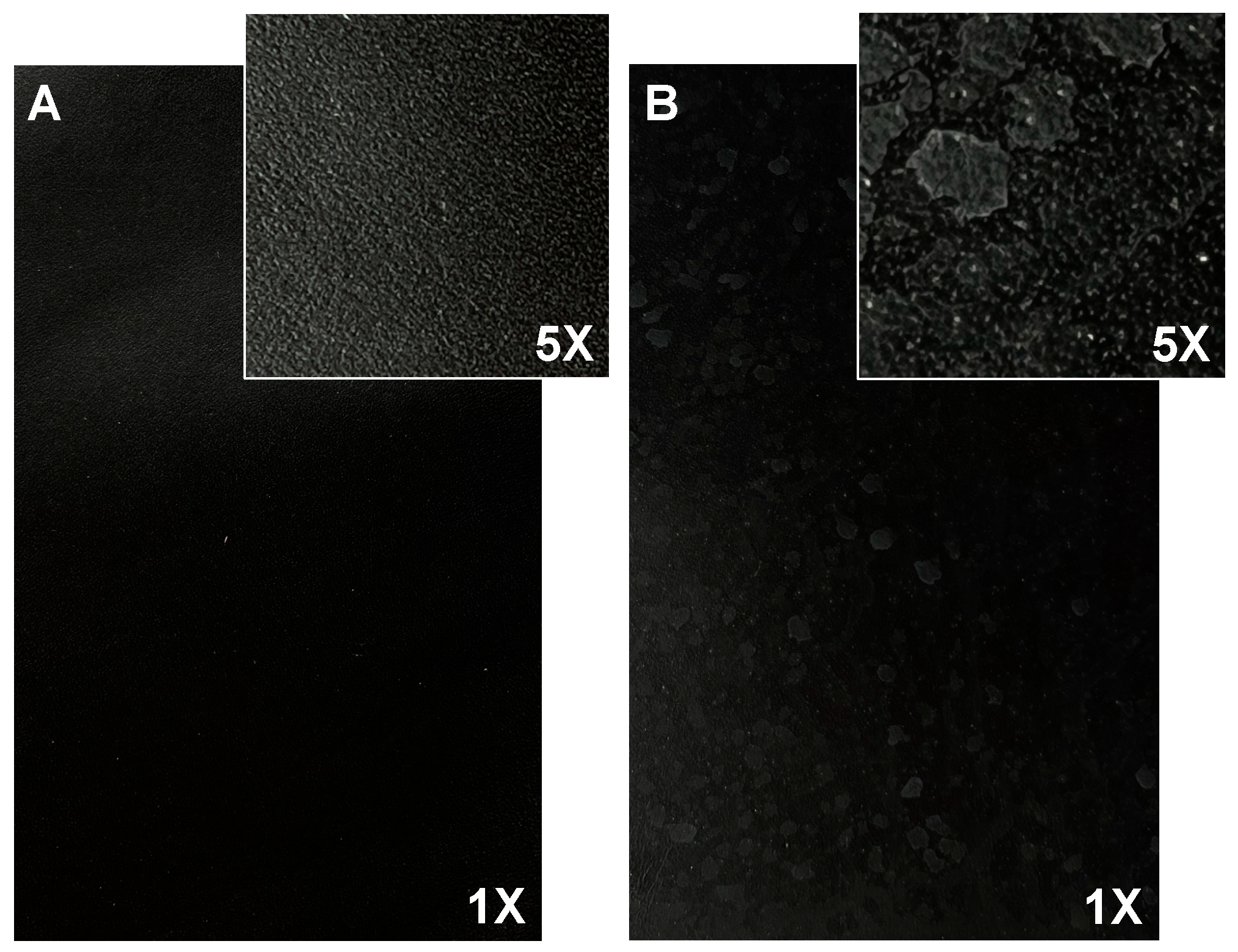 Coatings 13 00775 g001