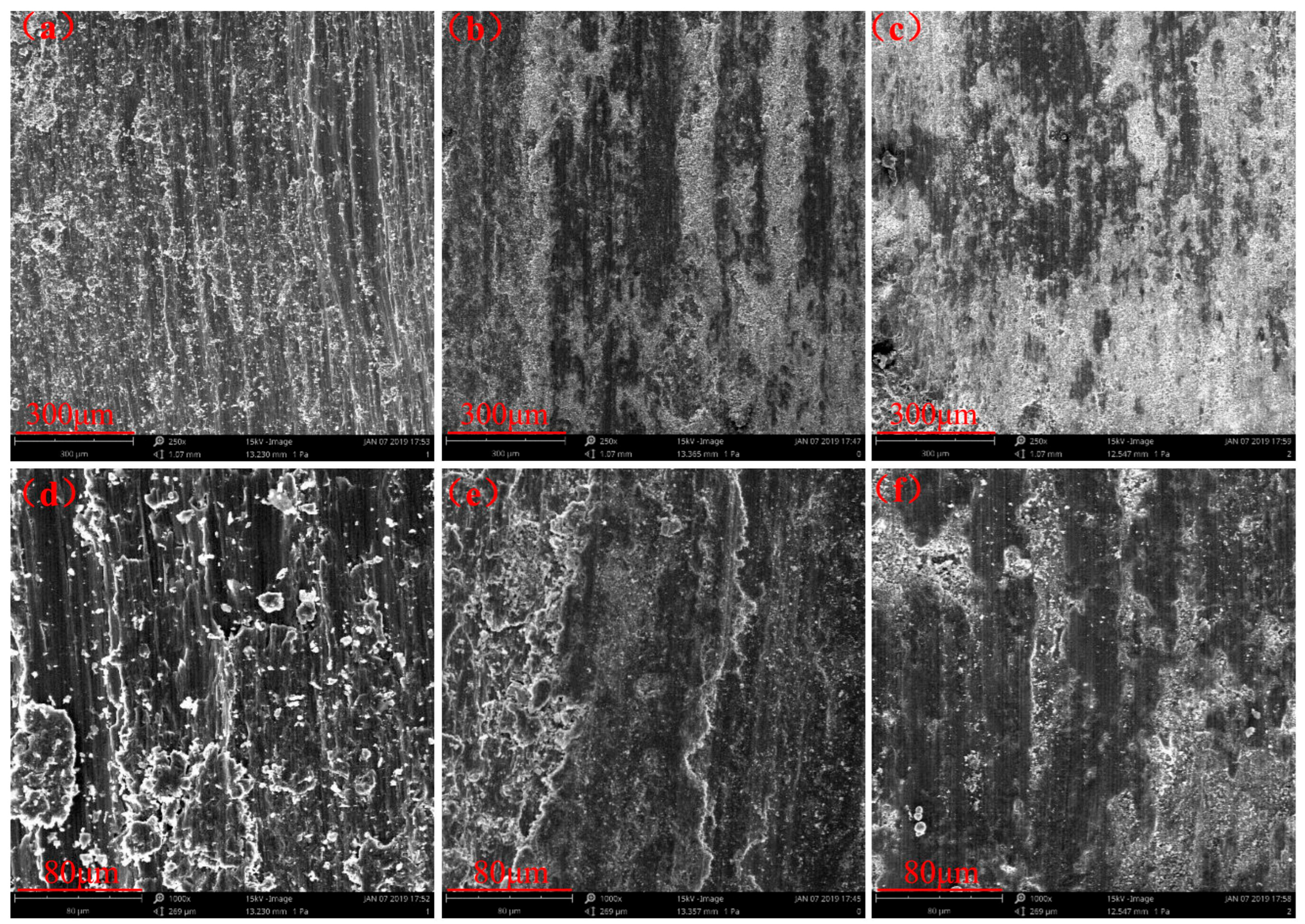 Coatings 13 00779 g006 550