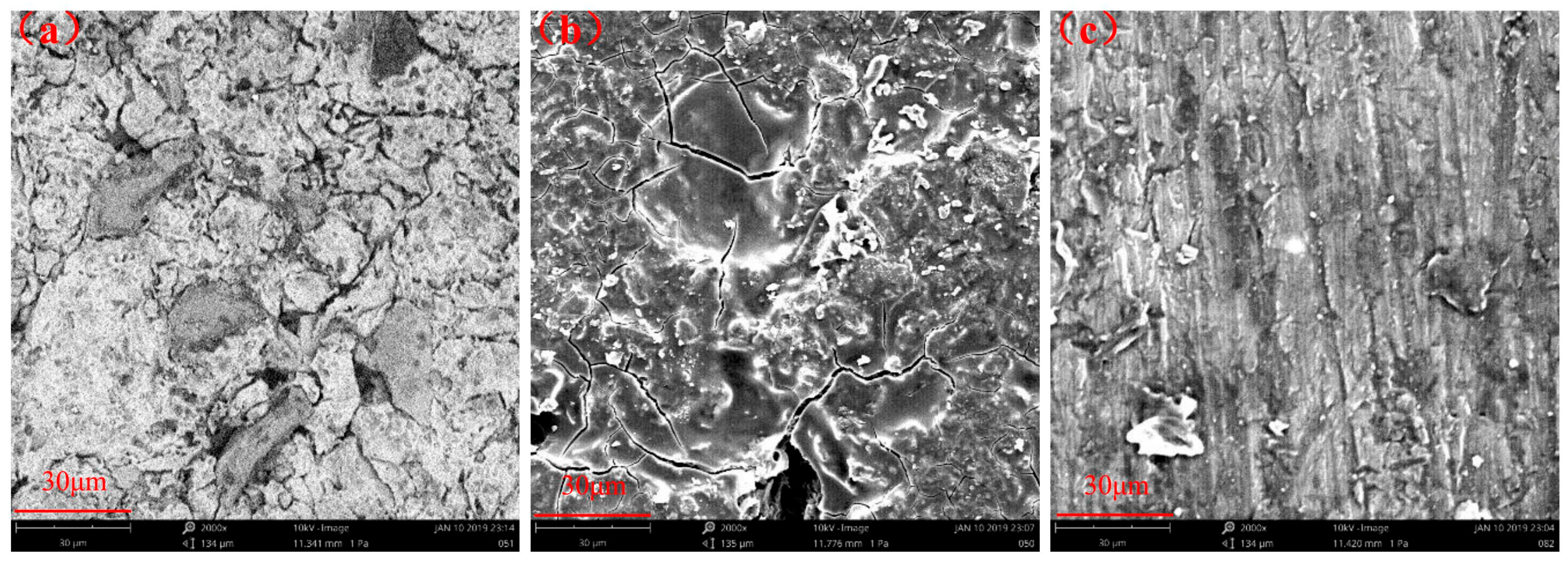 Coatings 13 00779 g009 550
