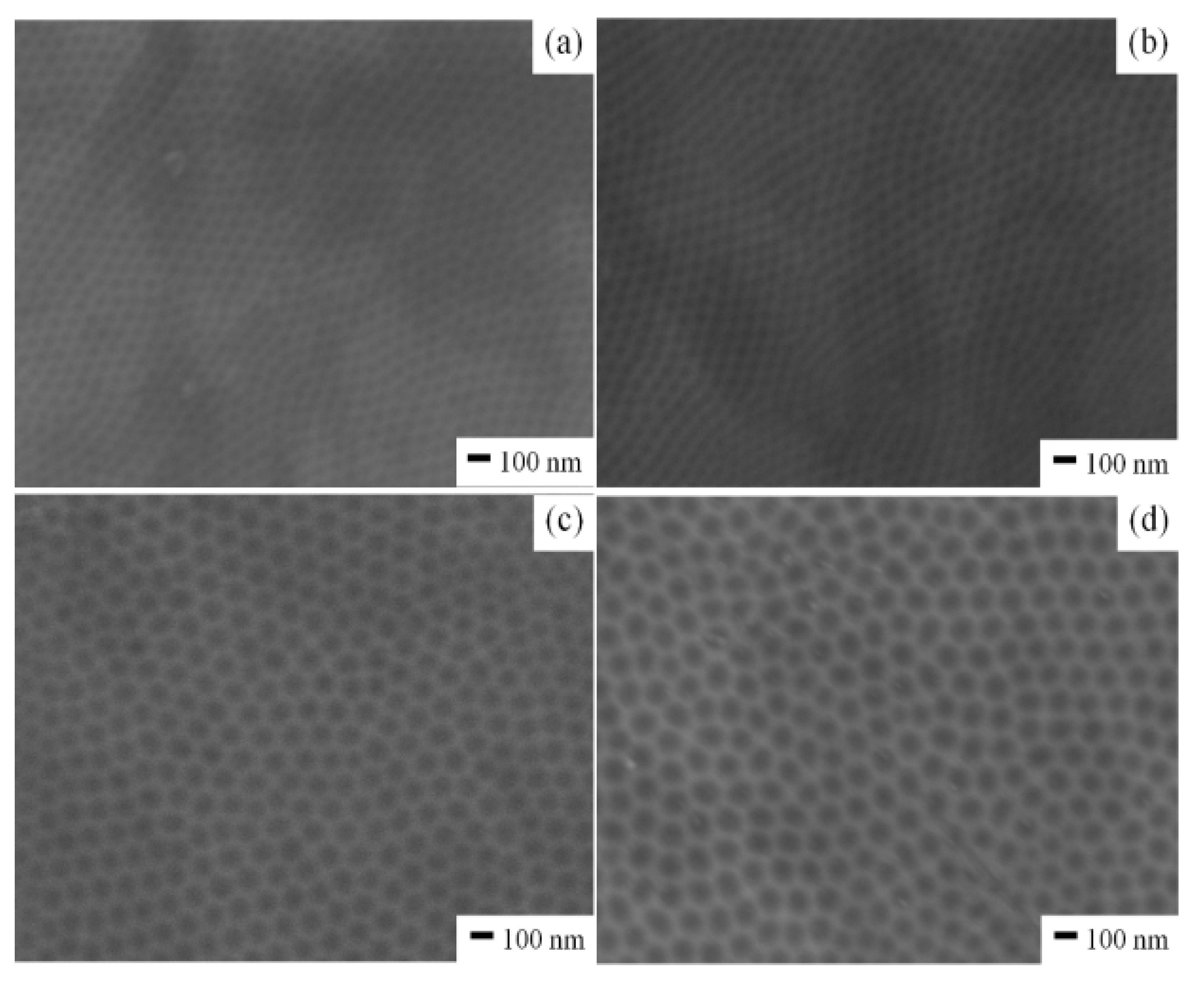 Coatings 13 00782 g003
