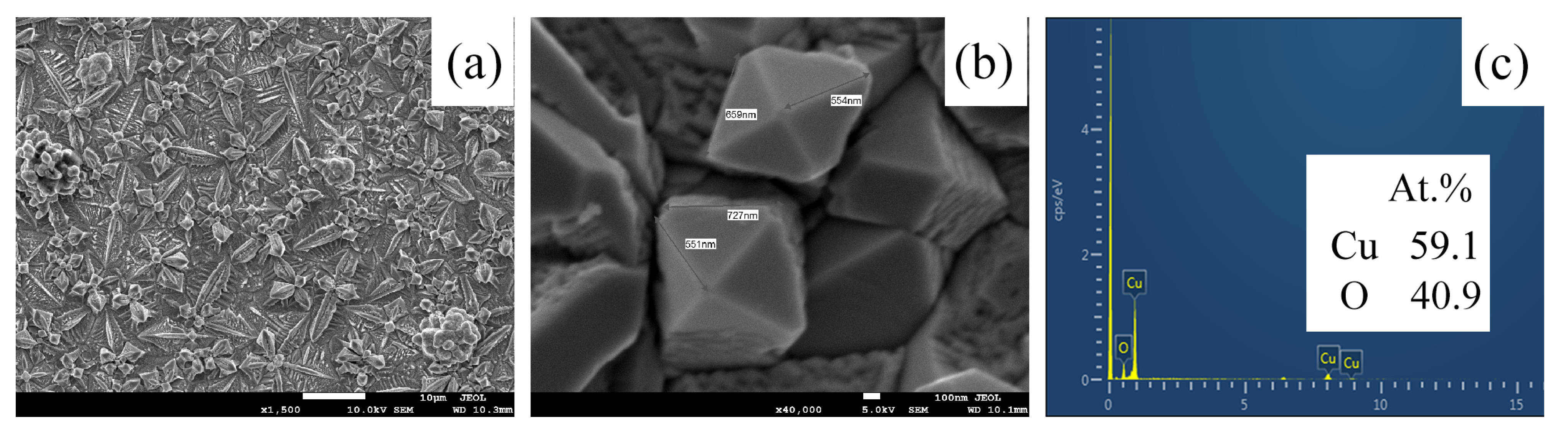 Coatings 13 00782 g004
