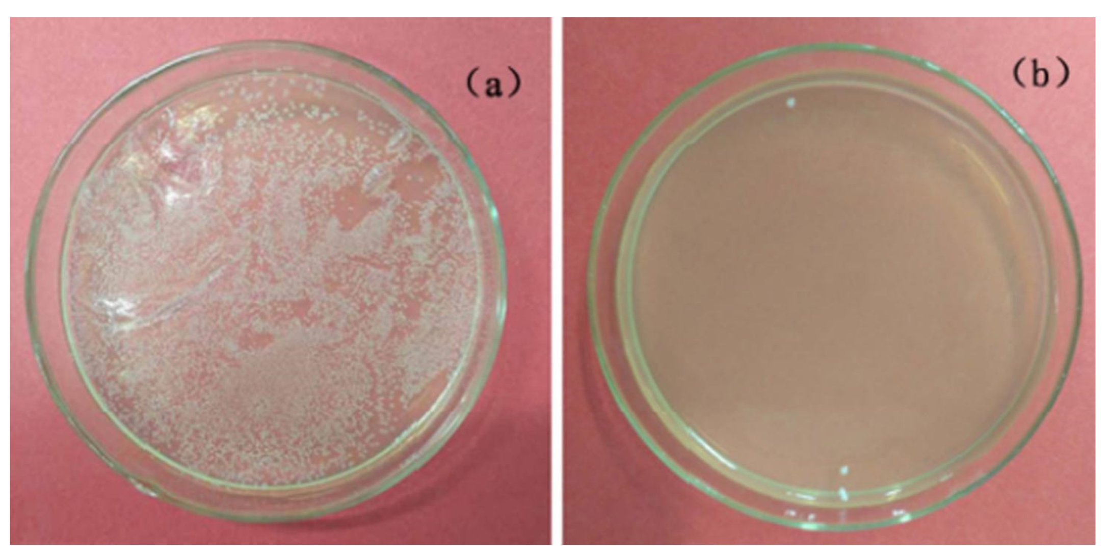 Coatings 13 00782 g005
