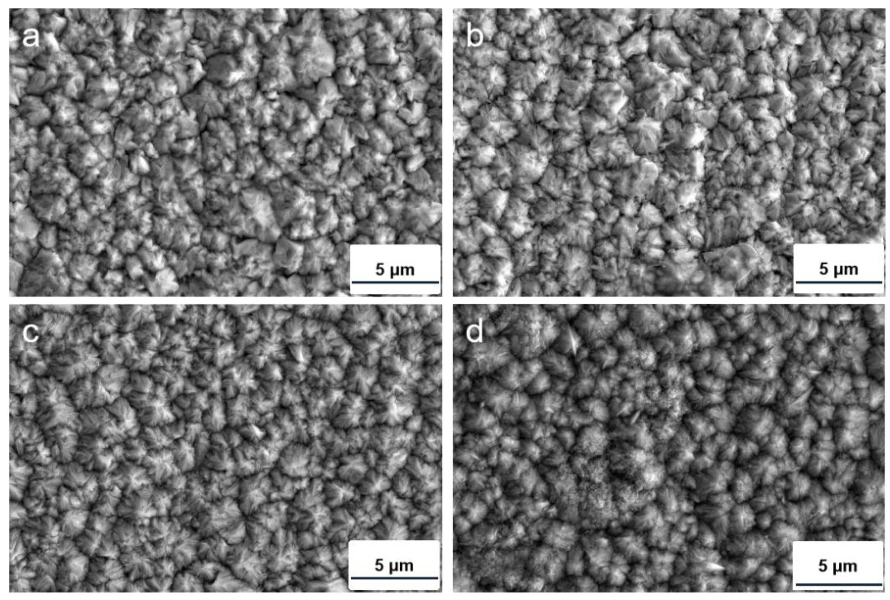 Coatings 13 00783 g004 Coatings 13 00783 g004
