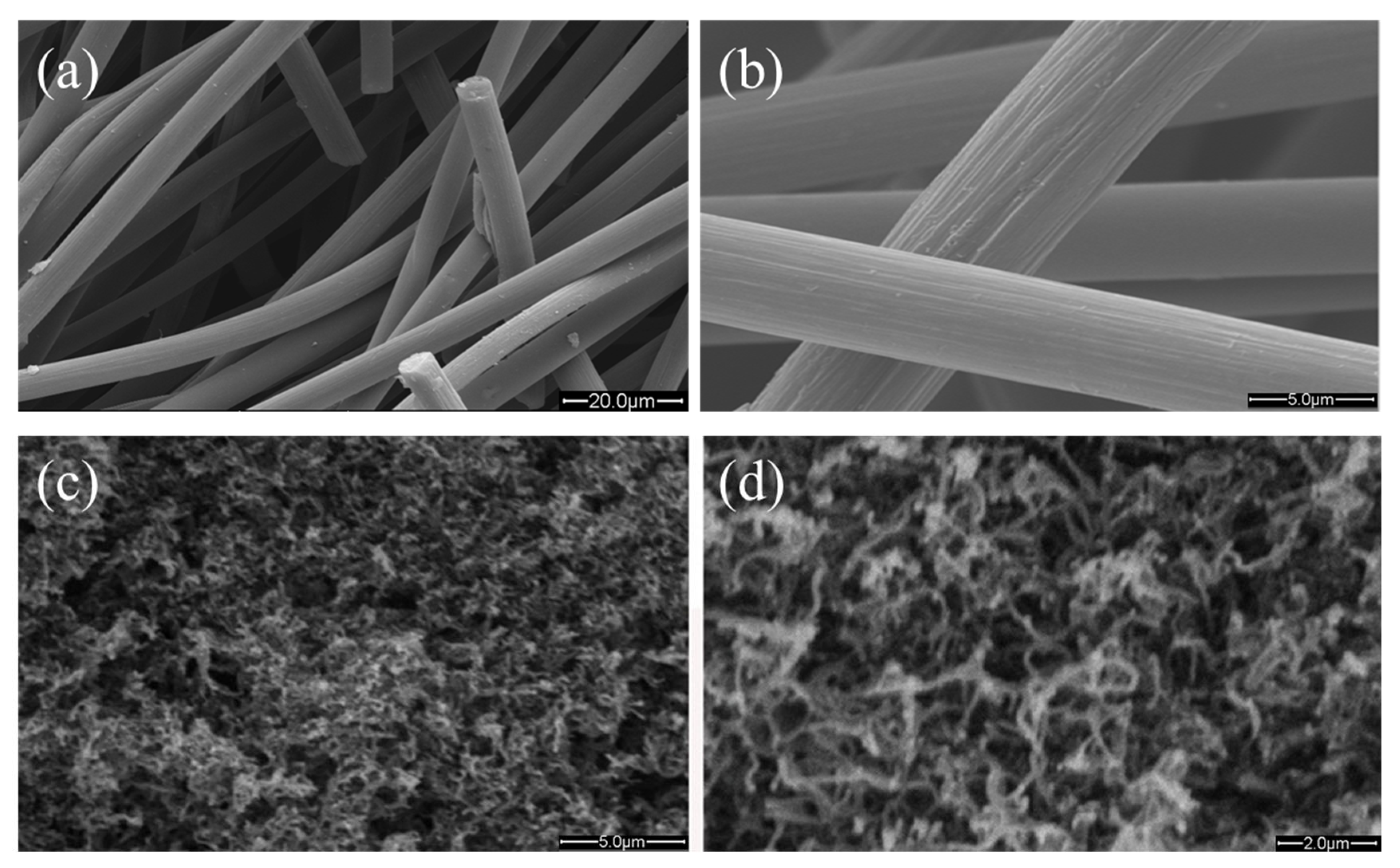 Coatings 13 00790 g001 Coatings 13 00790 g001