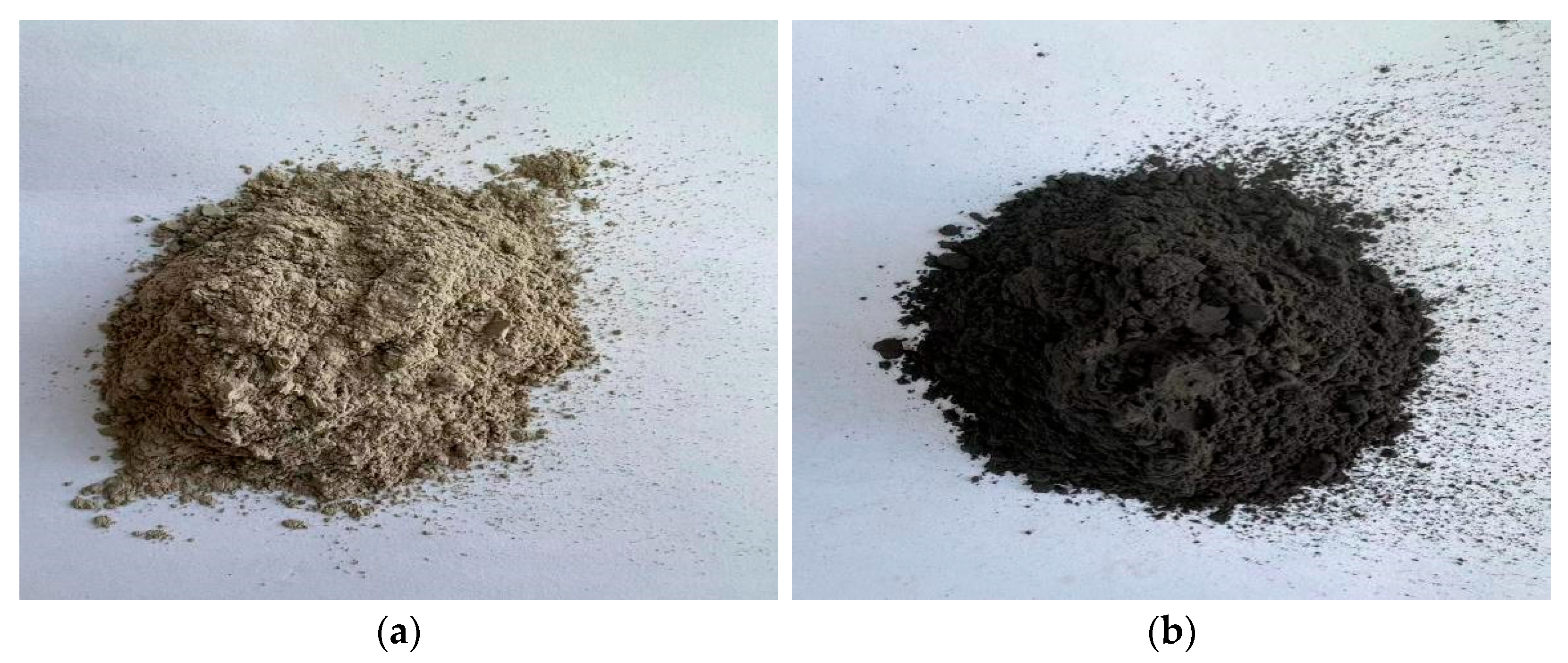 Coatings 13 00791 g001