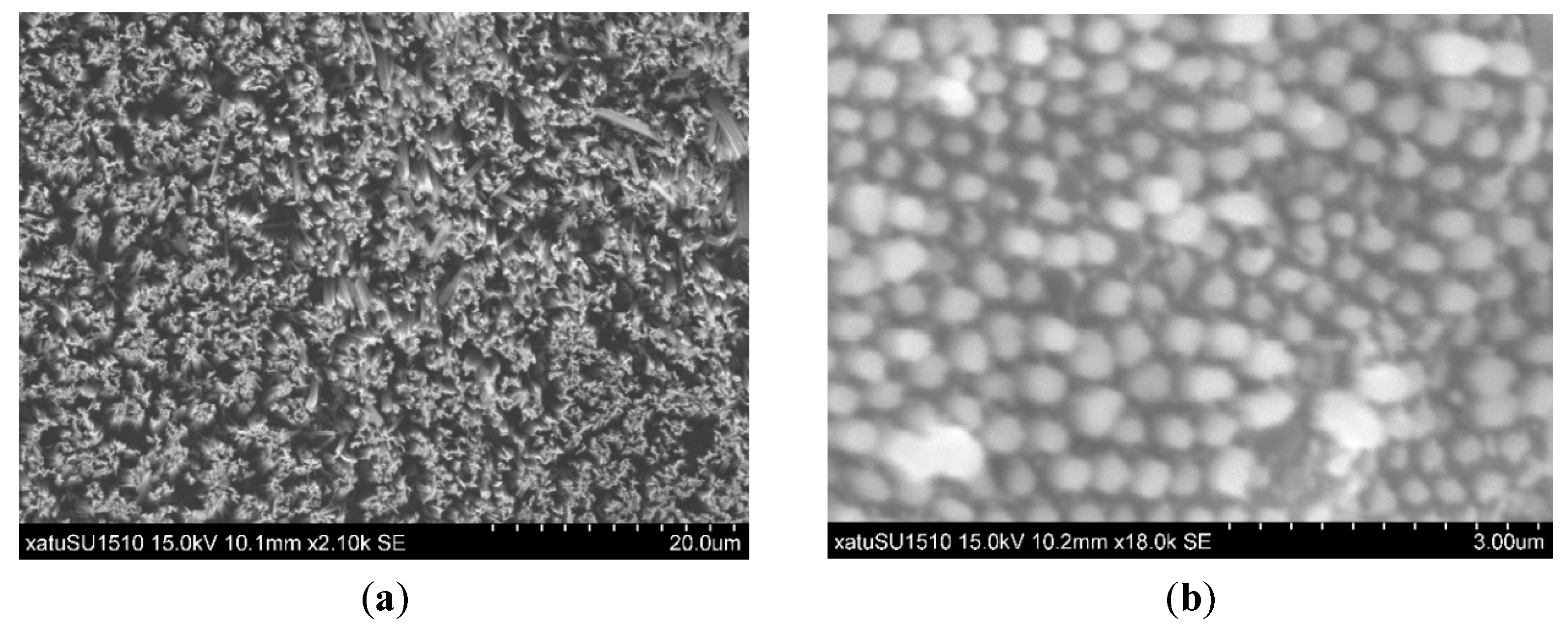 Coatings 13 00793 g004