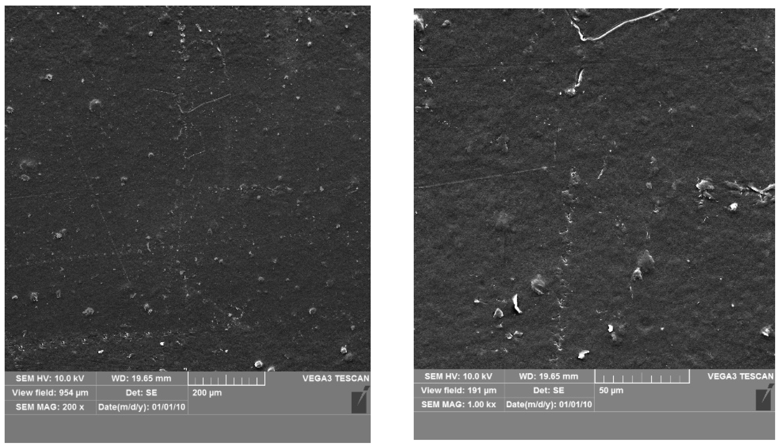 Coatings 13 00795 g004 Coatings 13 00795 g004