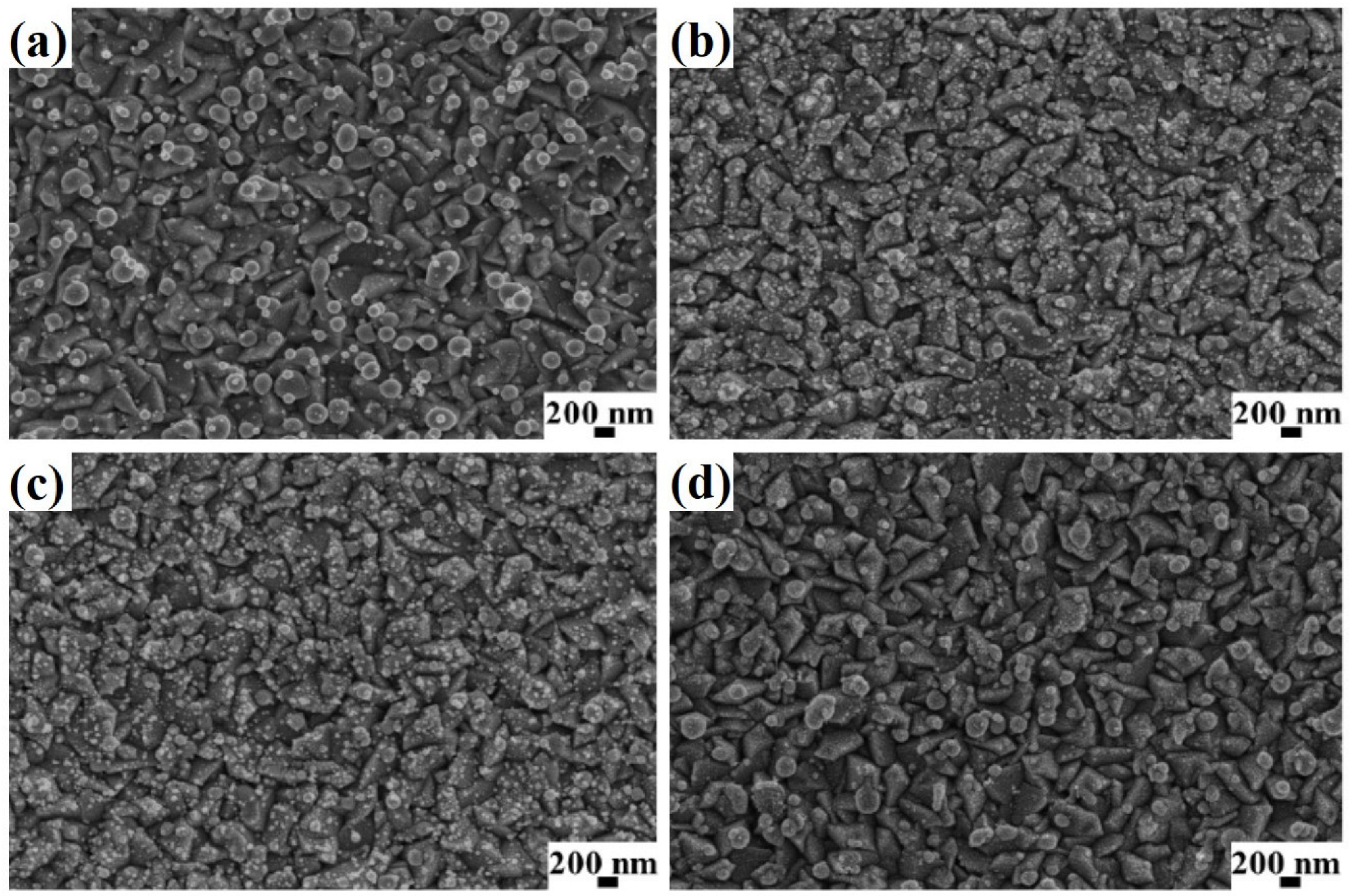 Coatings 13 00797 g002 Coatings 13 00797 g002