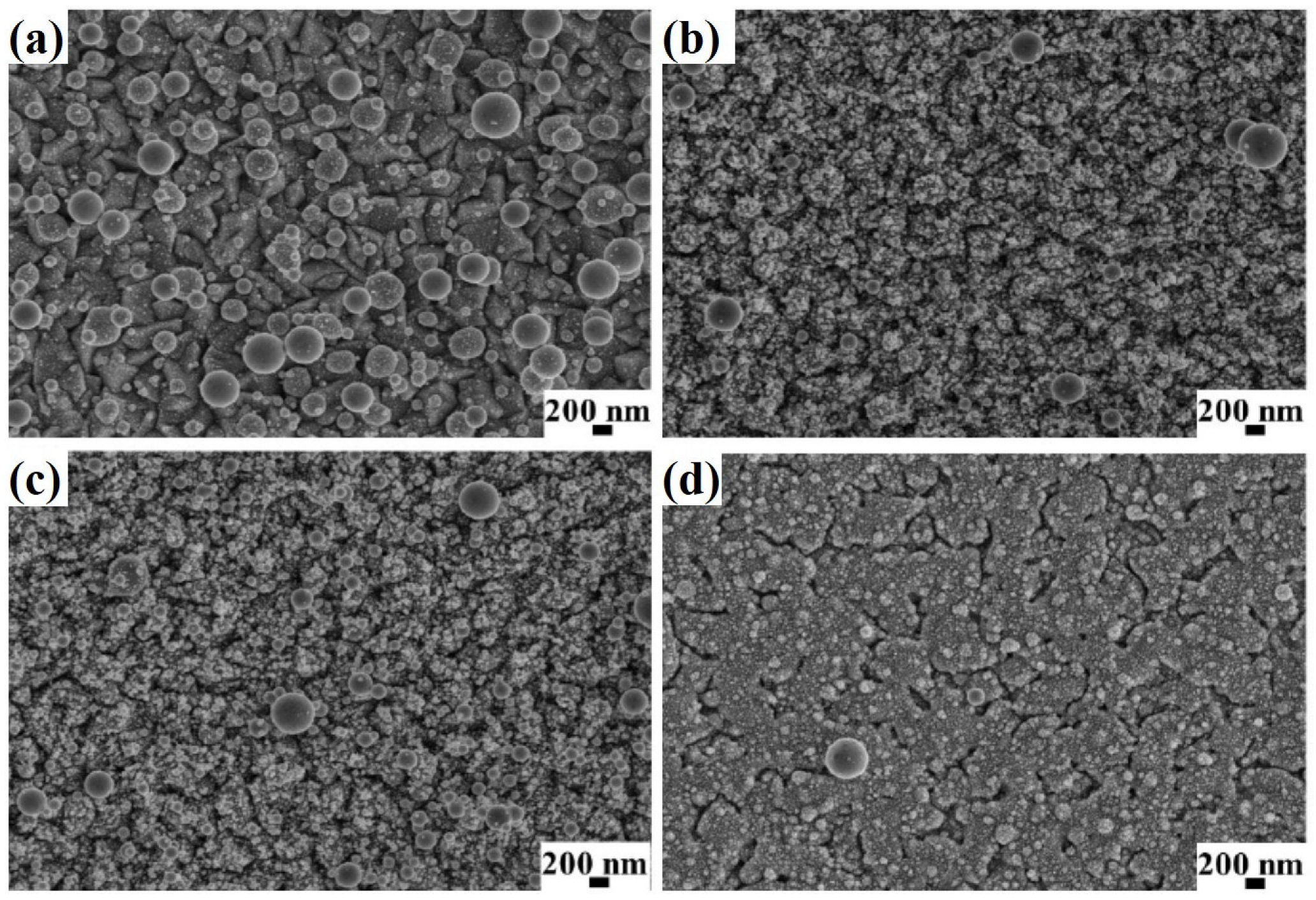 Coatings 13 00797 g003 Coatings 13 00797 g003