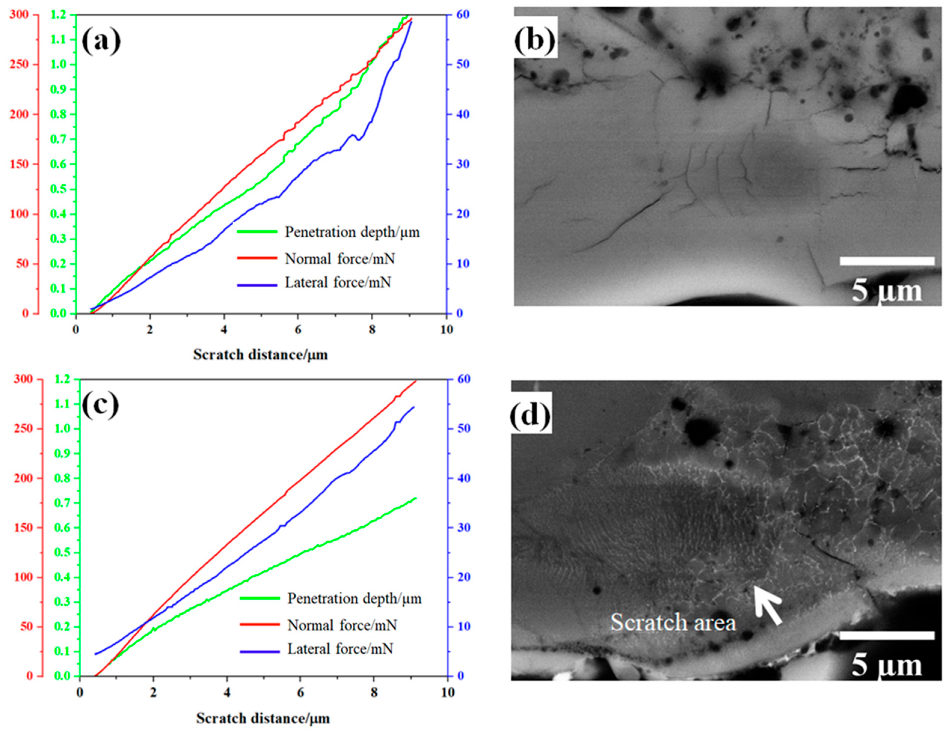 Coatings 13 00799 g007