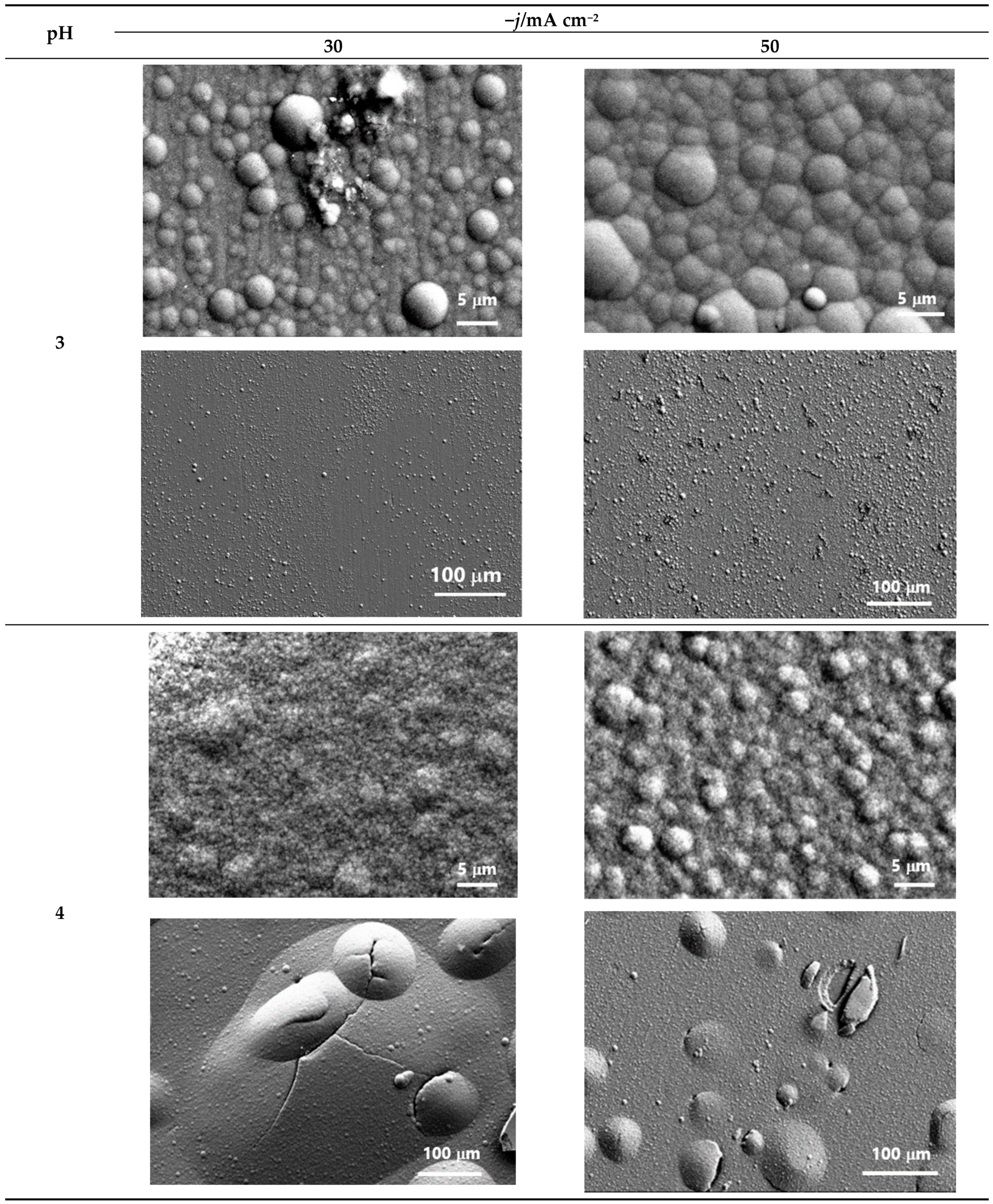 Coatings 13 00801 g003 Coatings 13 00801 g003