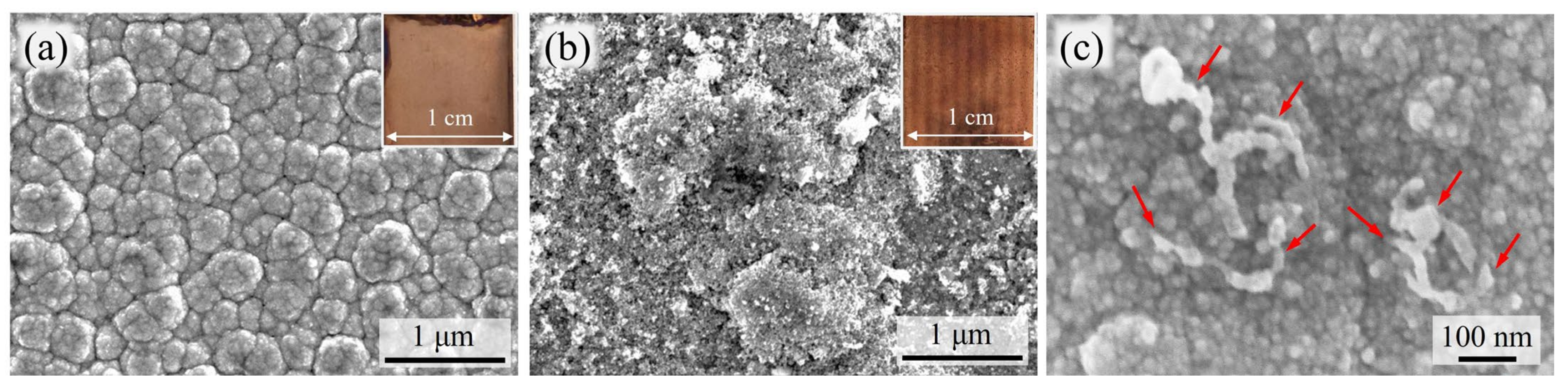 Coatings 13 00802 g008