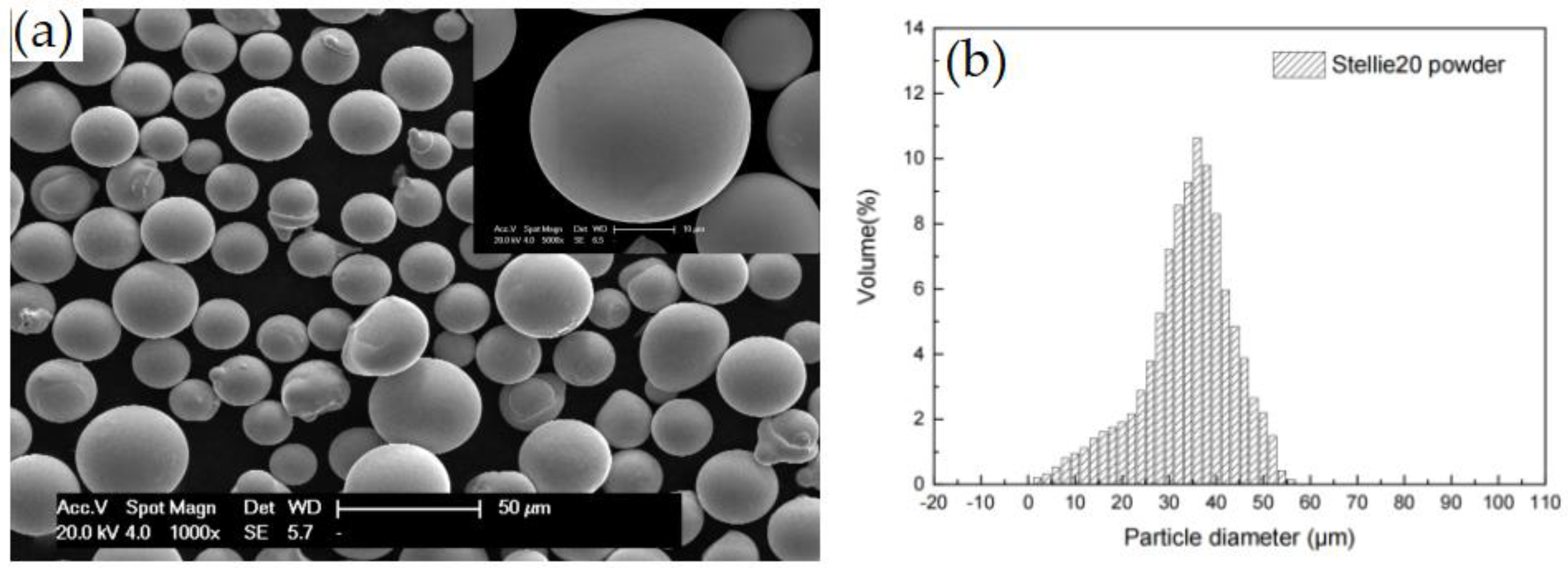 Coatings 13 00806 g002 Coatings 13 00806 g002