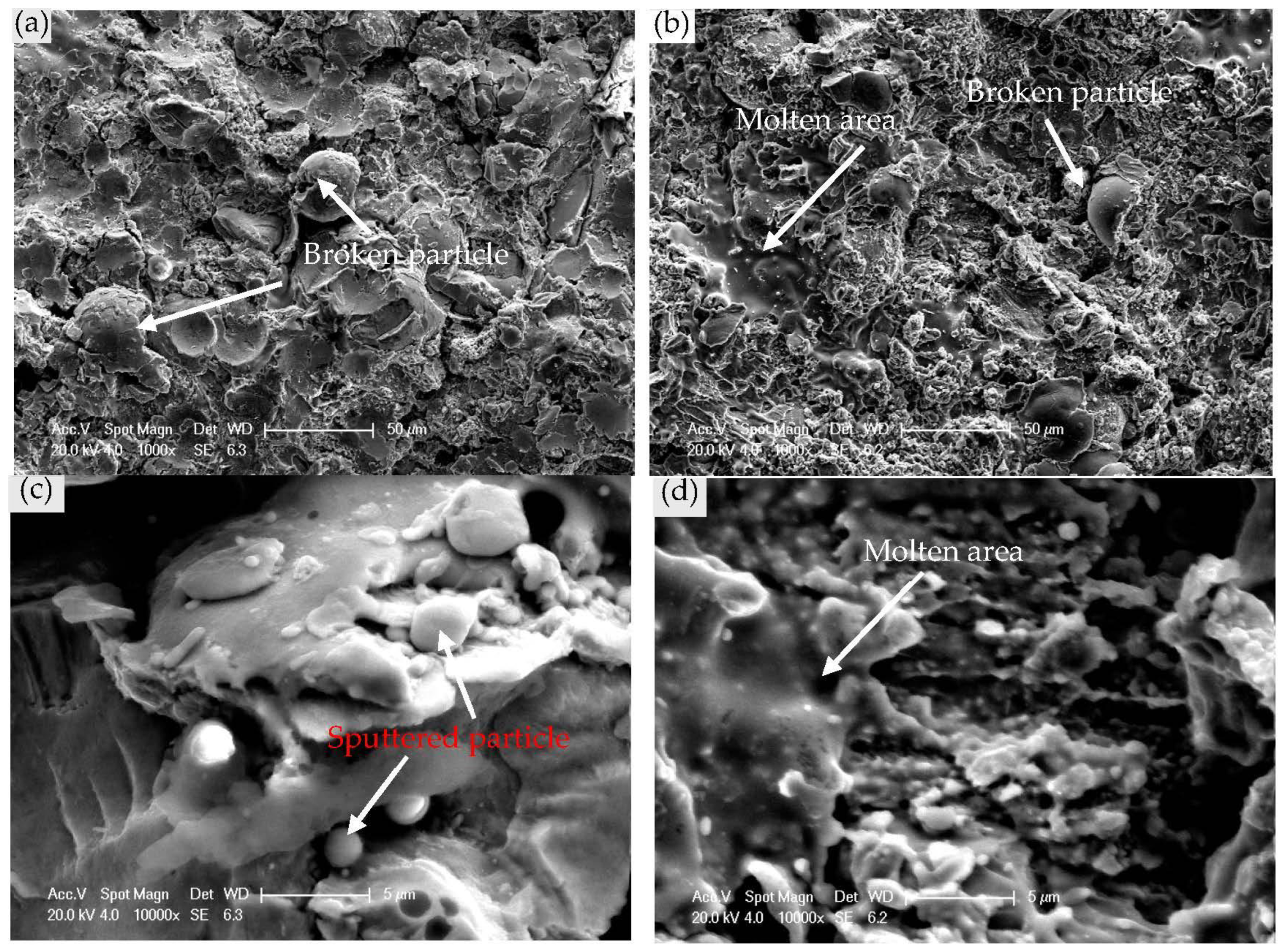 Coatings 13 00806 g003 Coatings 13 00806 g003