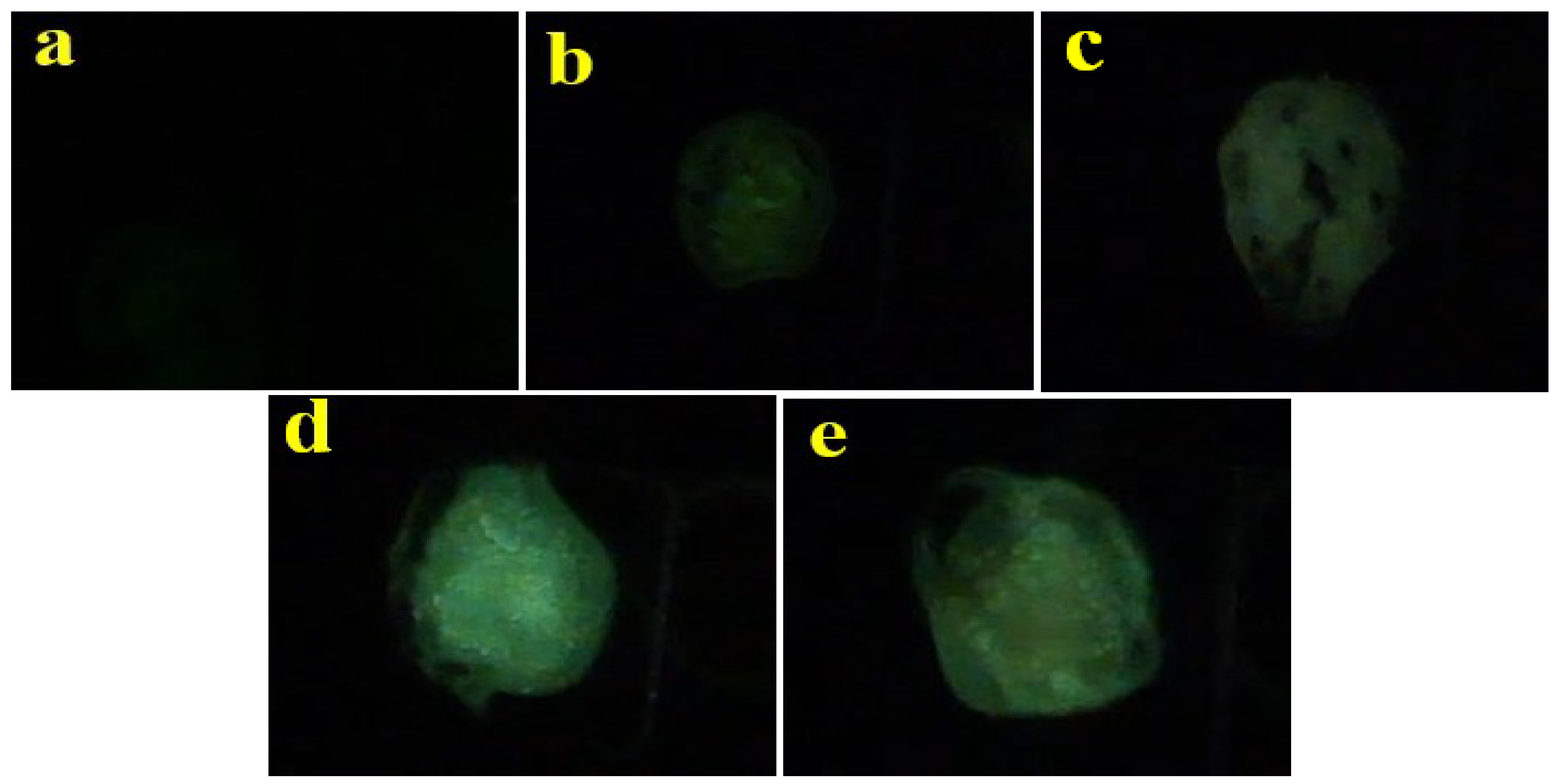 Coatings 13 00808 g007