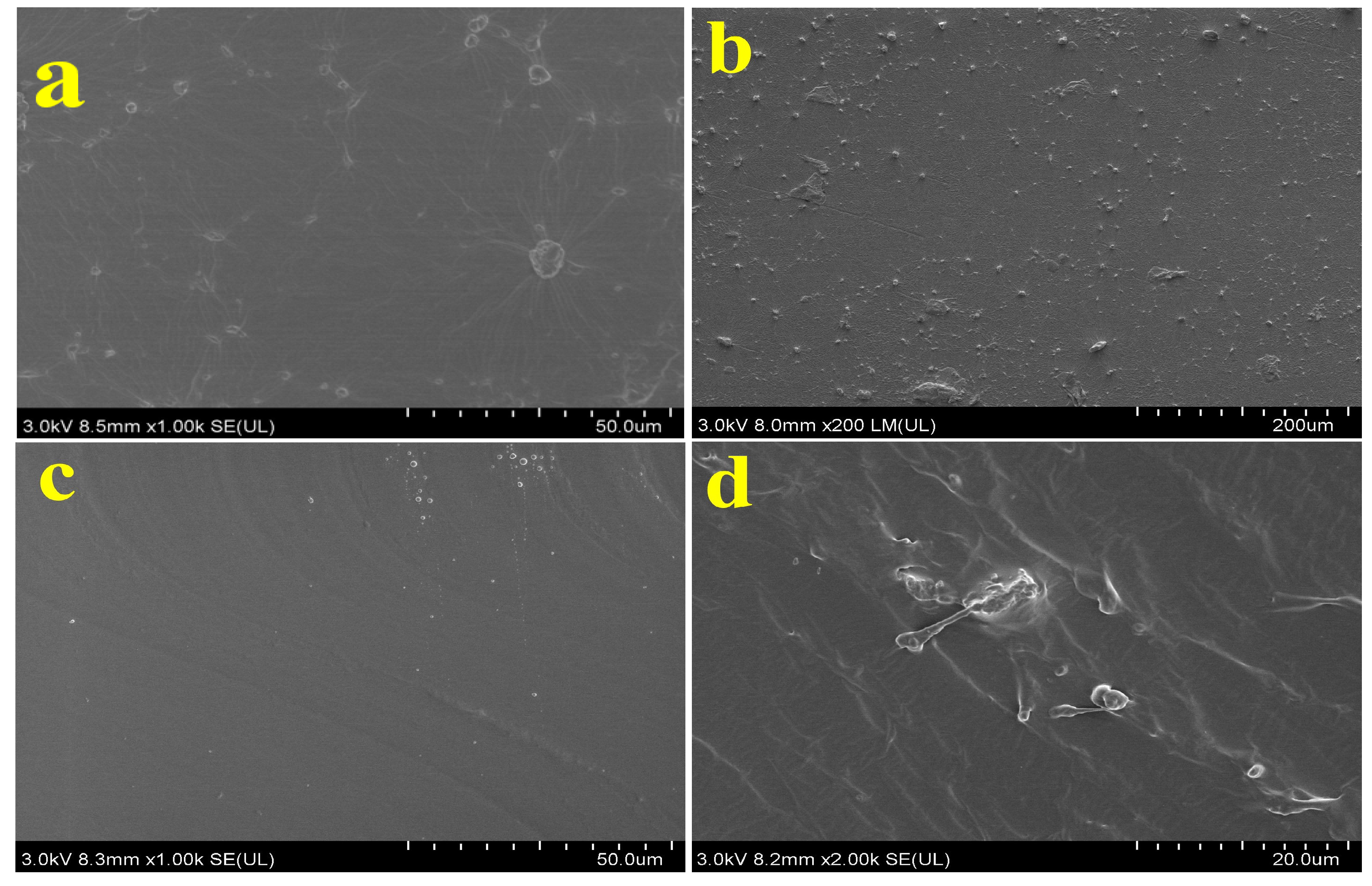 Coatings 13 00808 g016