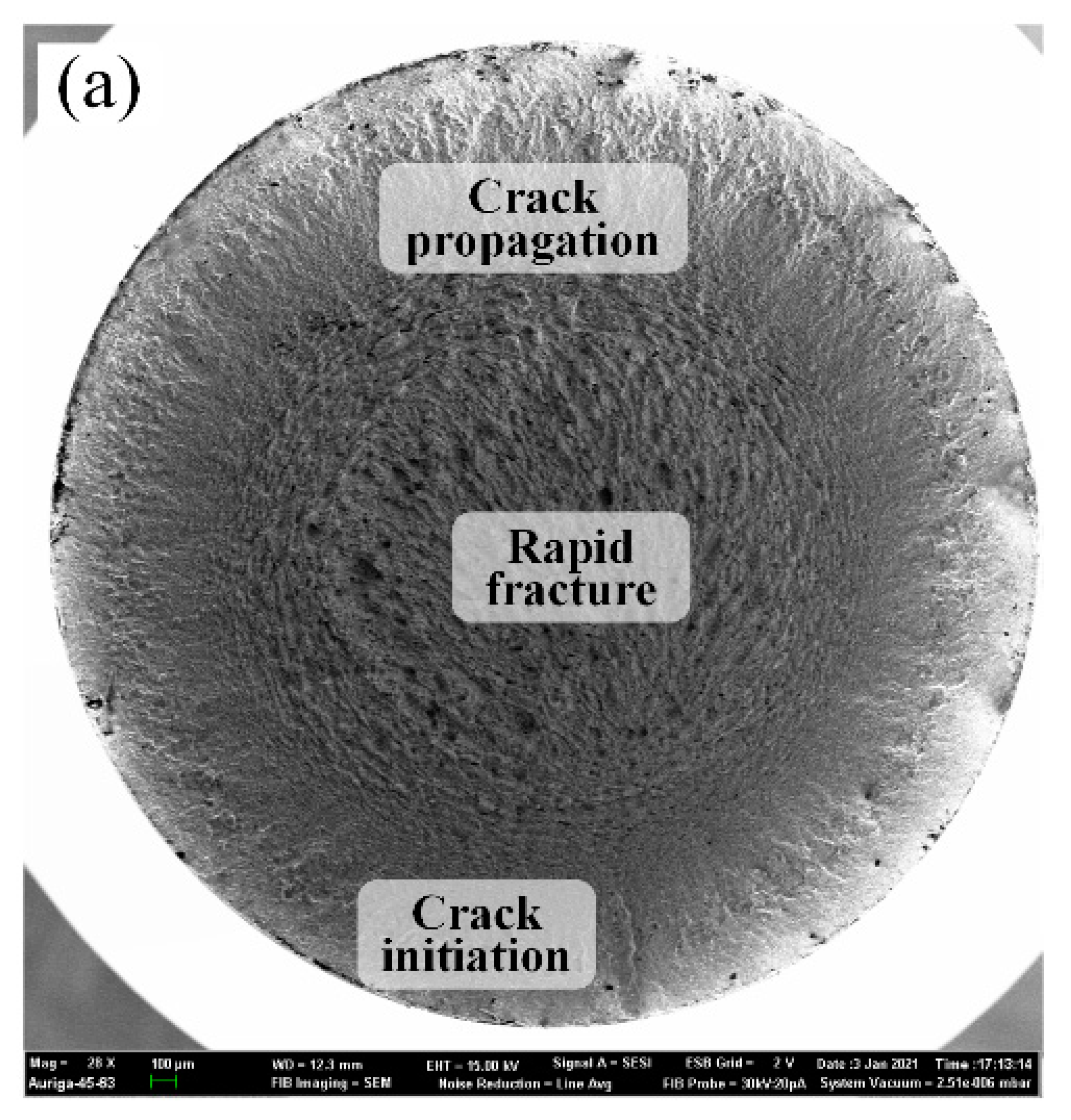 Coatings 13 00809 g013a