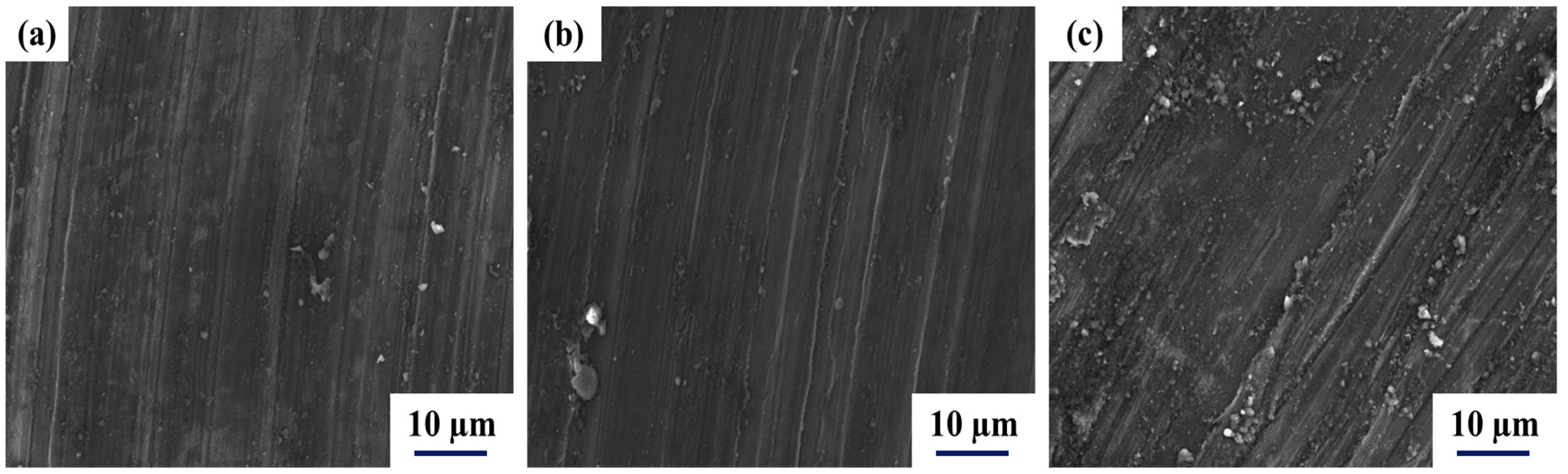 Coatings 13 00813 g013 550