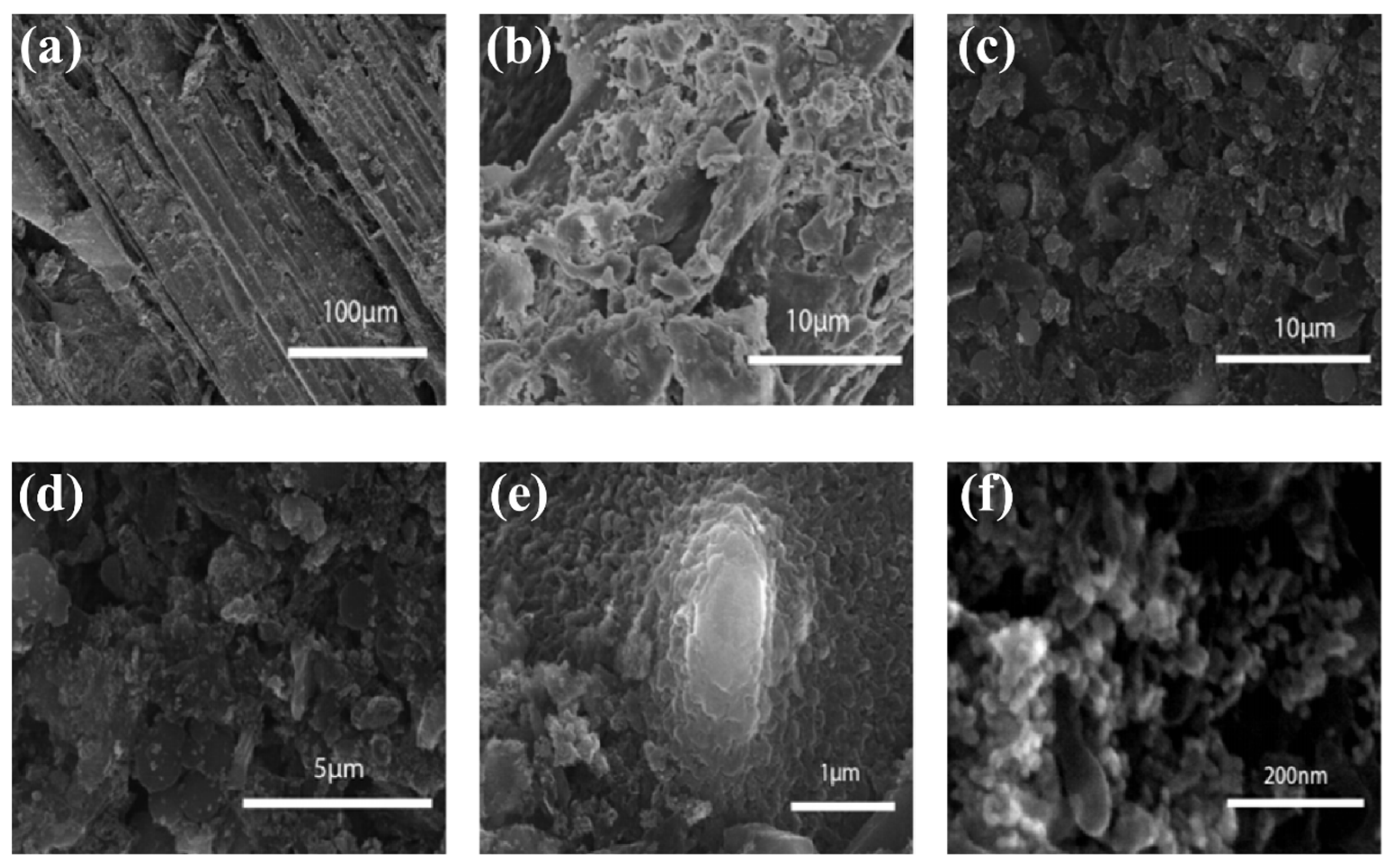 Coatings 13 00814 g004 Coatings 13 00814 g004