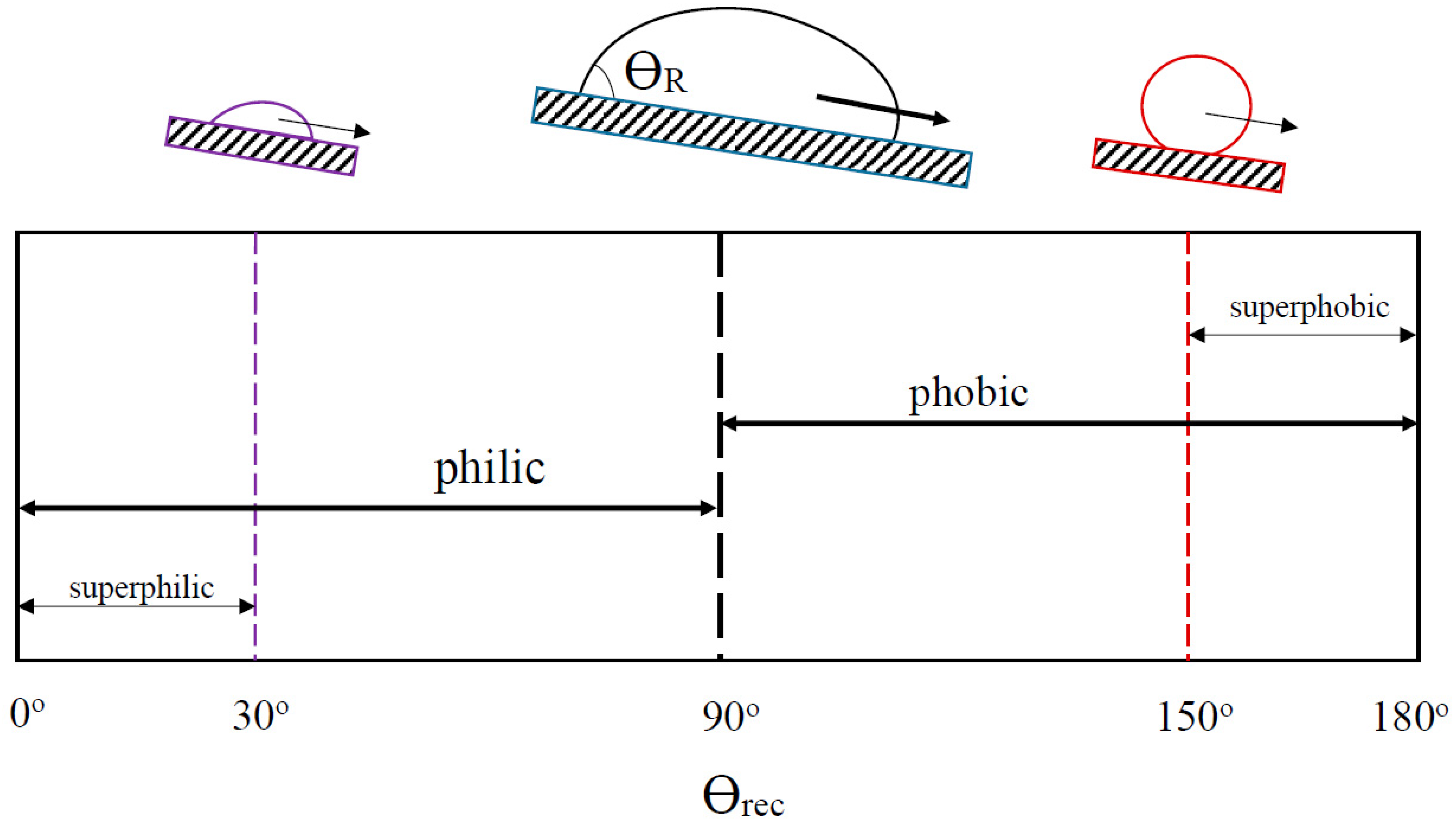 Coatings 13 00817 g003