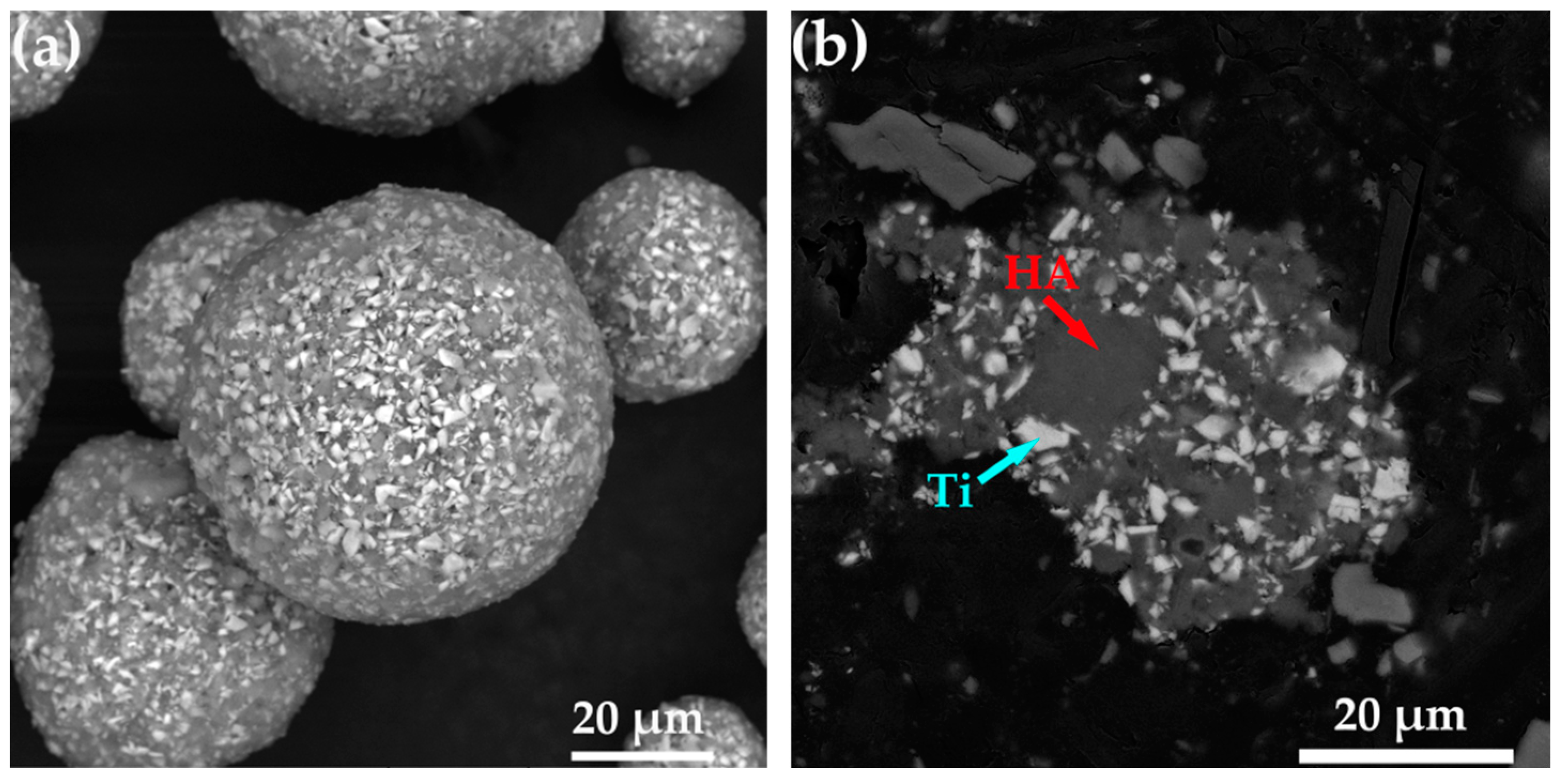 Coatings 13 00818 g004