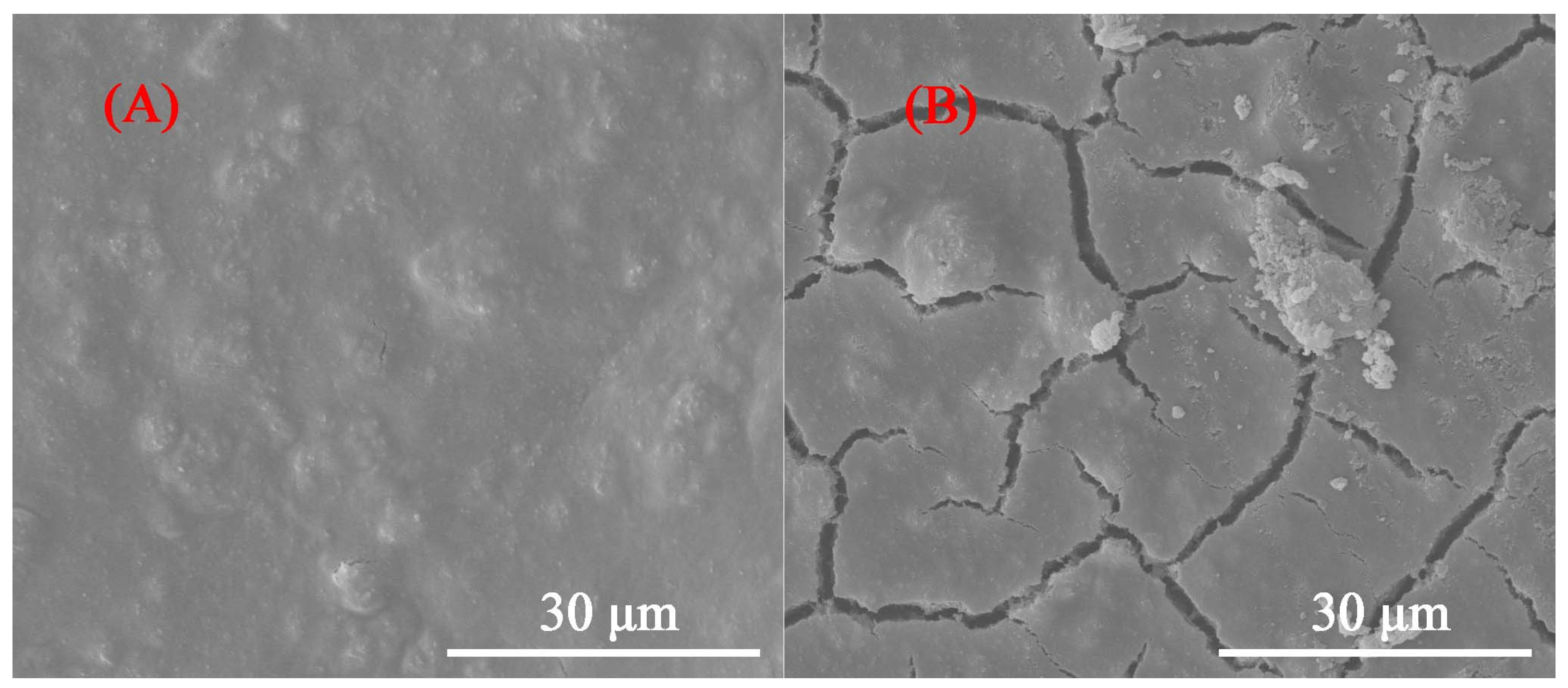 Coatings 13 00819 g018