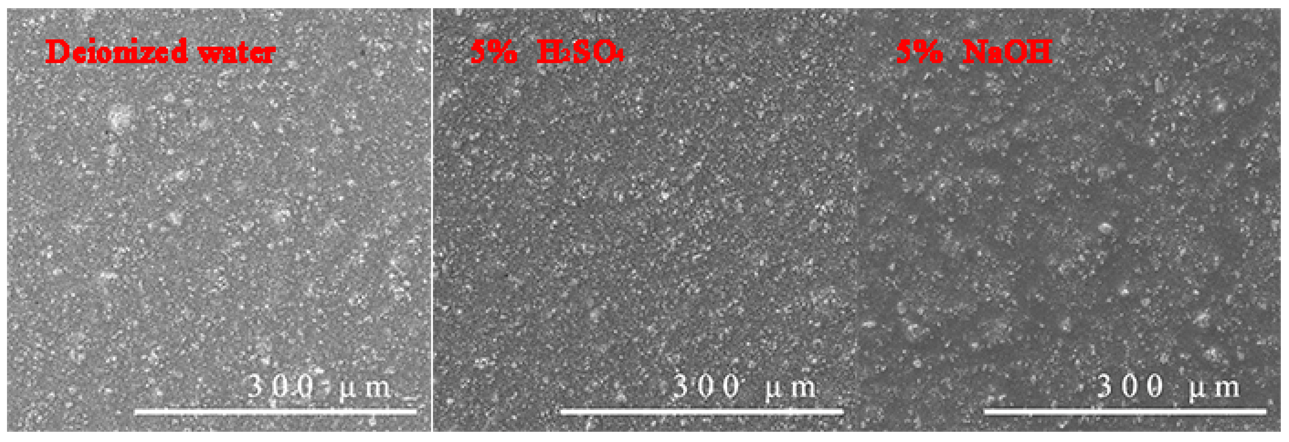Coatings 13 00819 g019
