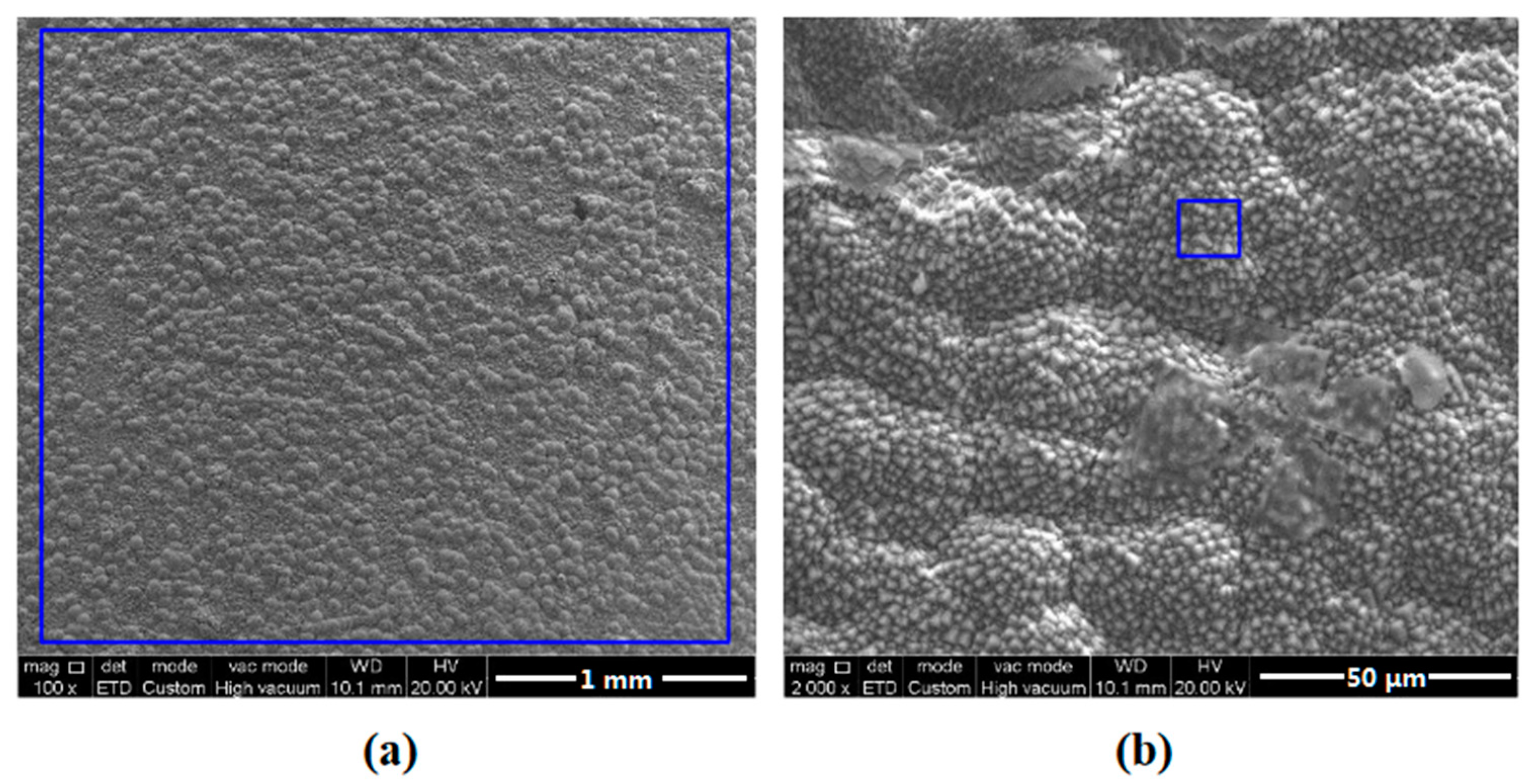 Coatings 13 00821 g007 Coatings 13 00821 g007