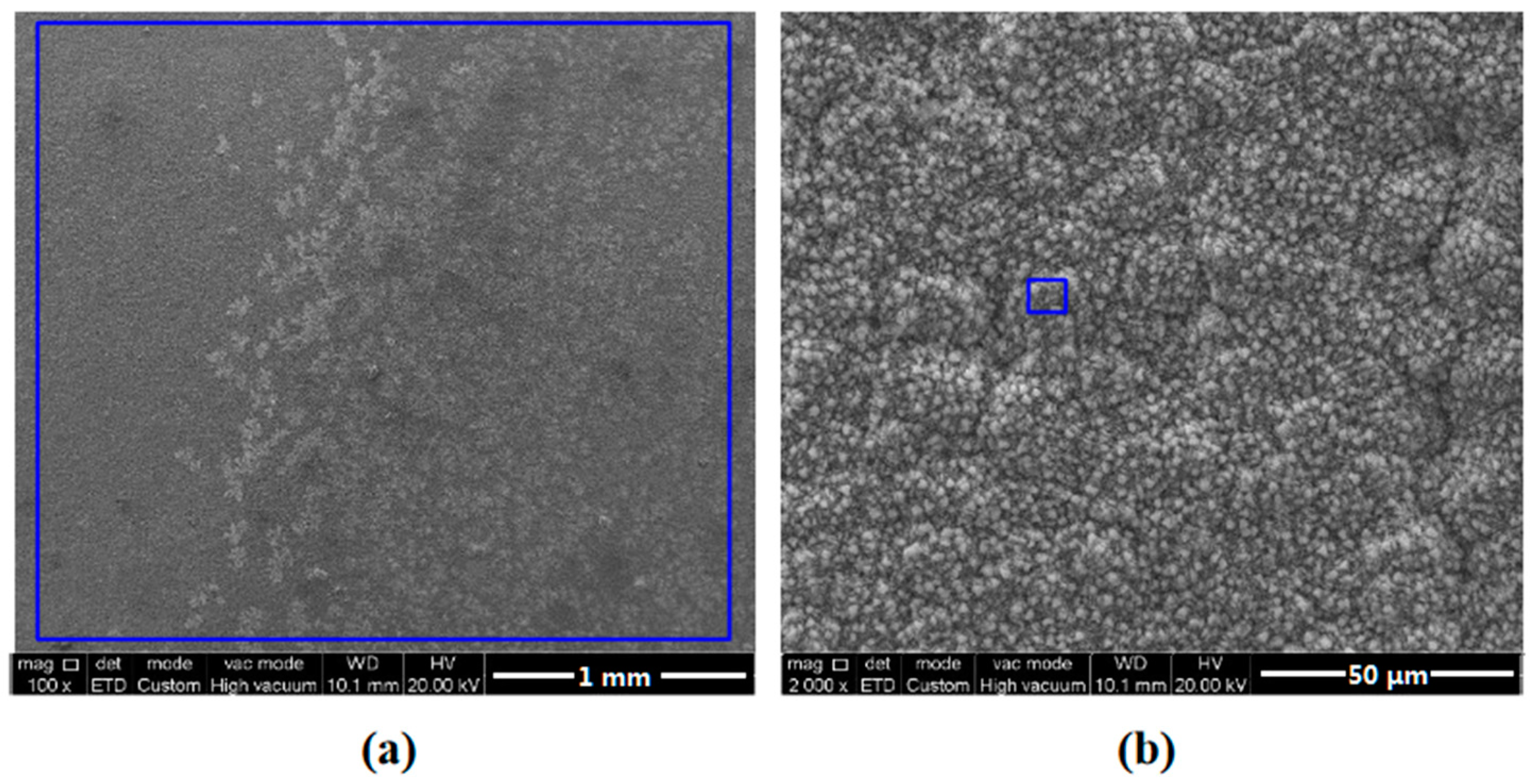 Coatings 13 00821 g008 Coatings 13 00821 g008