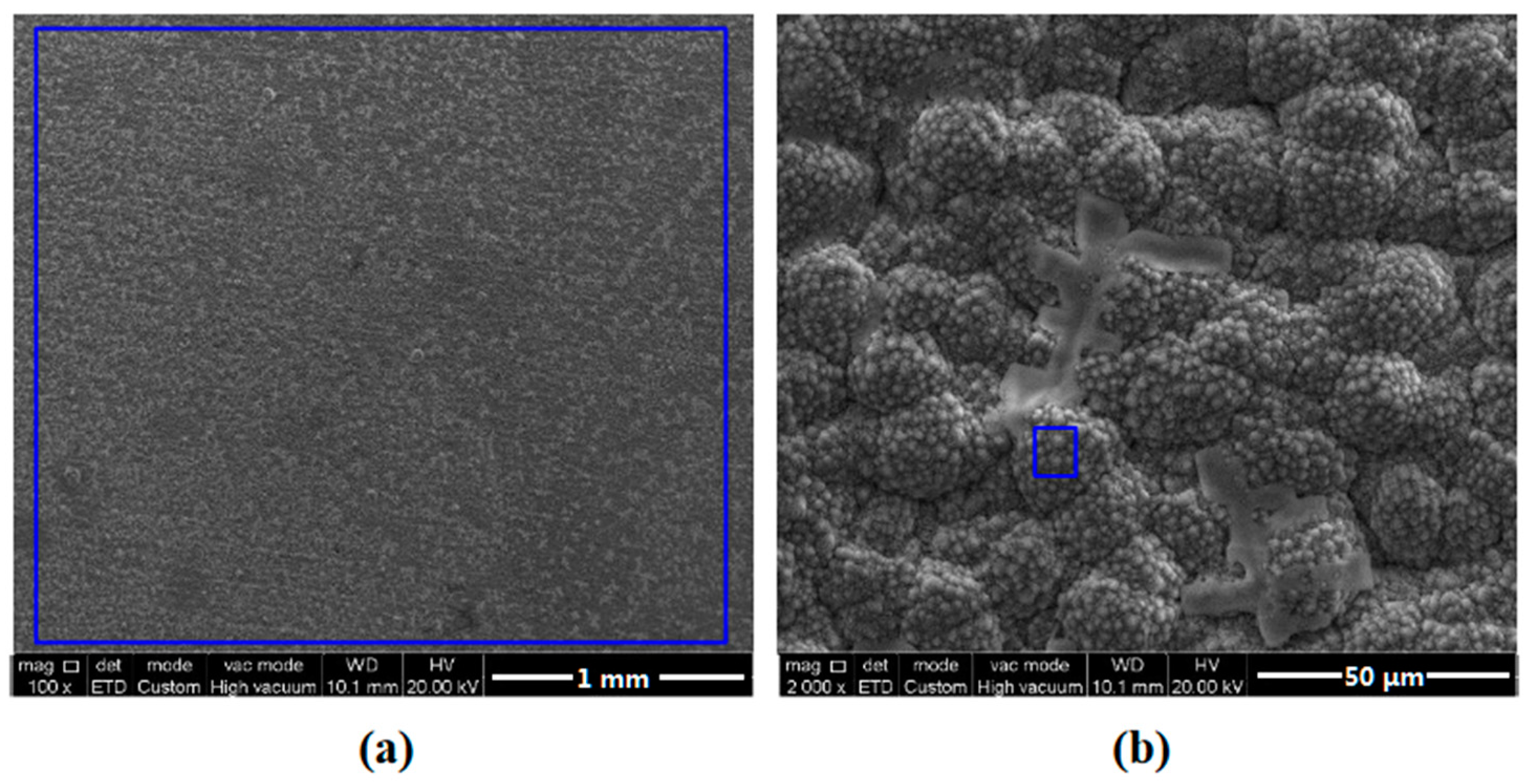 Coatings 13 00821 g009 Coatings 13 00821 g009