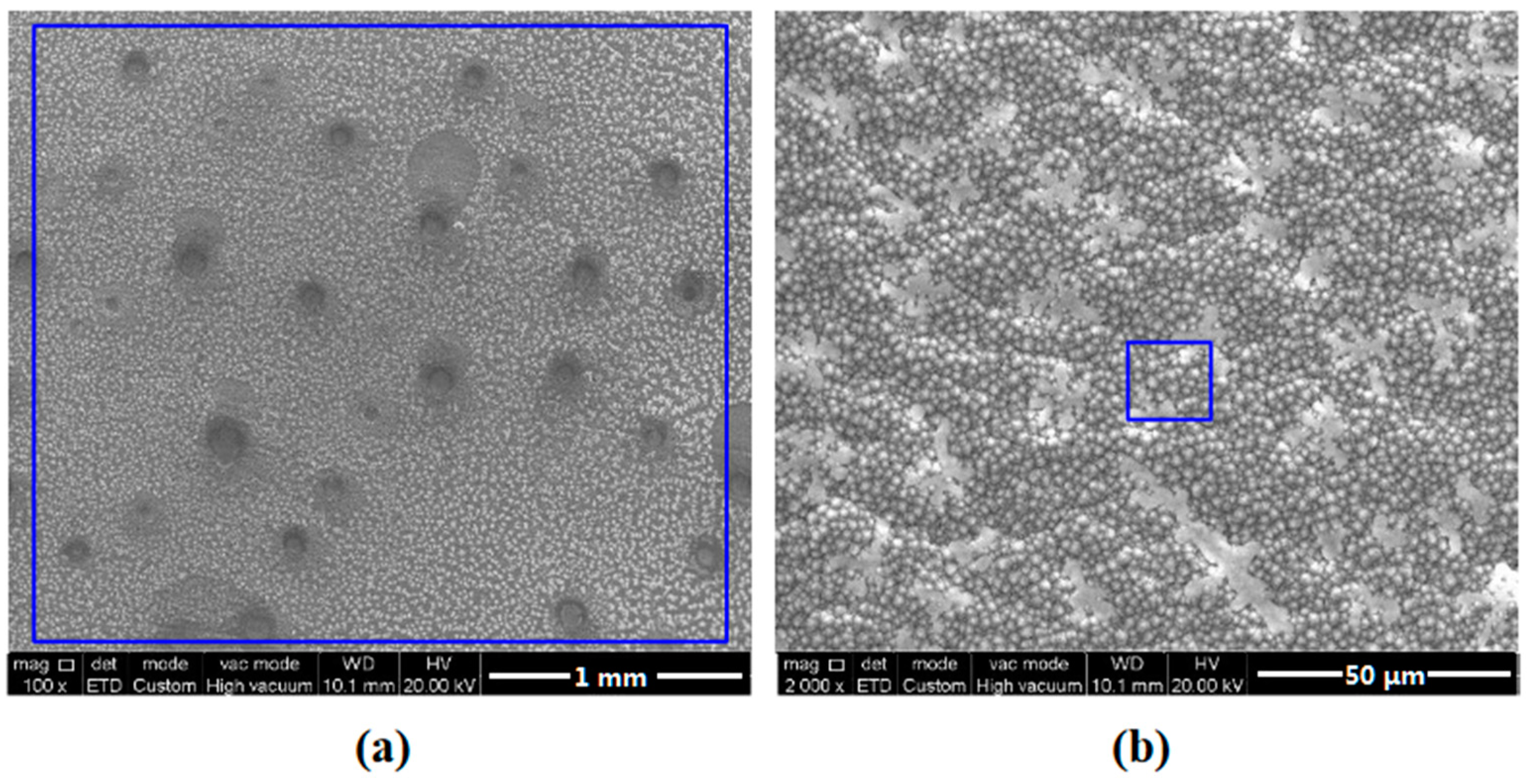 Coatings 13 00821 g011 Coatings 13 00821 g011