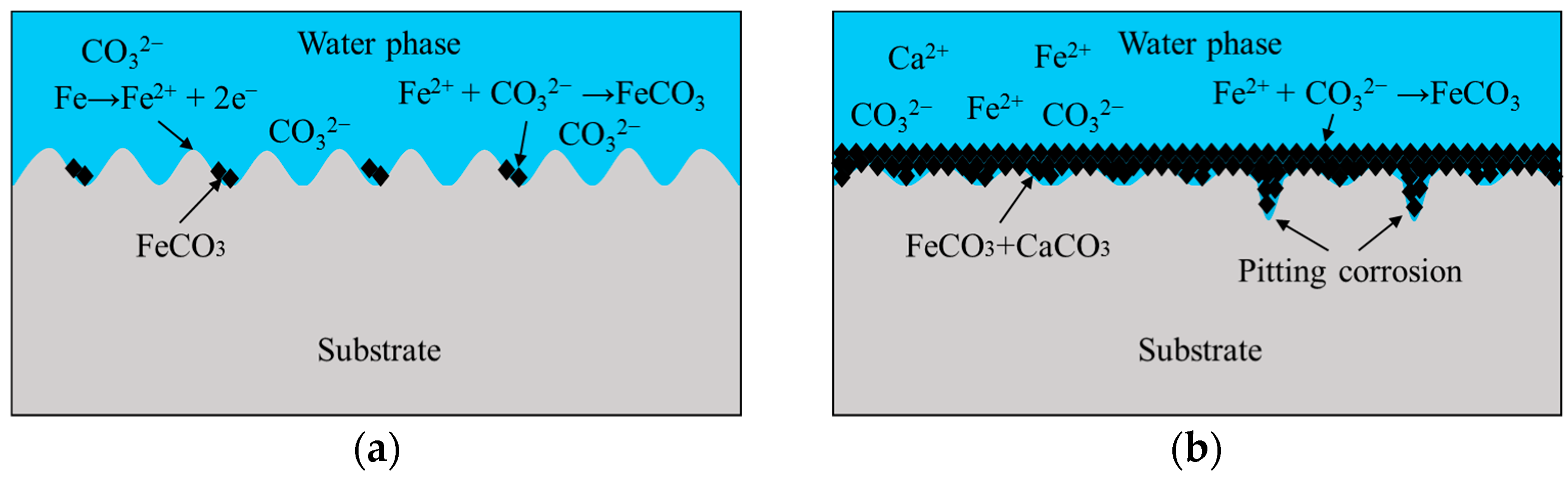 Coatings Free FullText Effect of Surface Roughness on Static