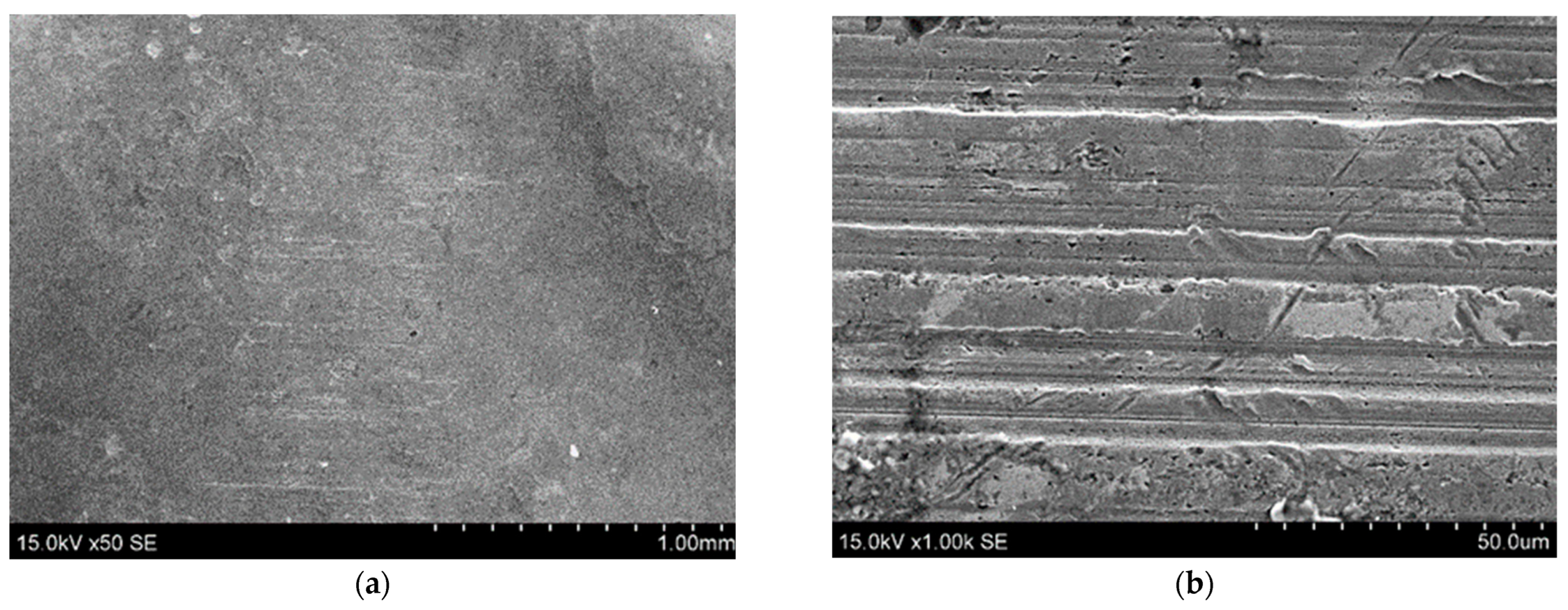 Coatings 13 00825 g007 Coatings 13 00825 g007