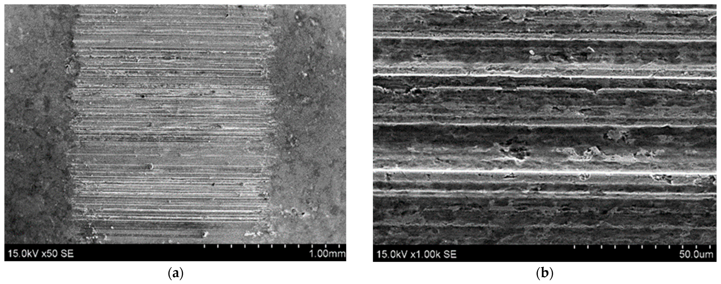 Coatings 13 00825 g008 Coatings 13 00825 g008