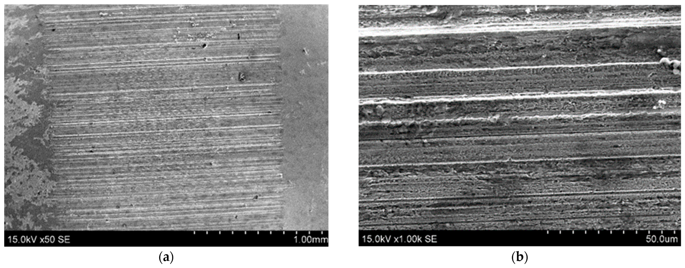 Coatings 13 00825 g009 Coatings 13 00825 g009